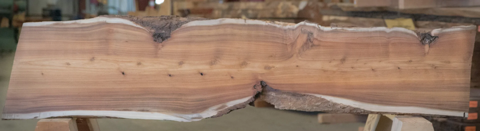 This is a test caption for a Sycamore slab