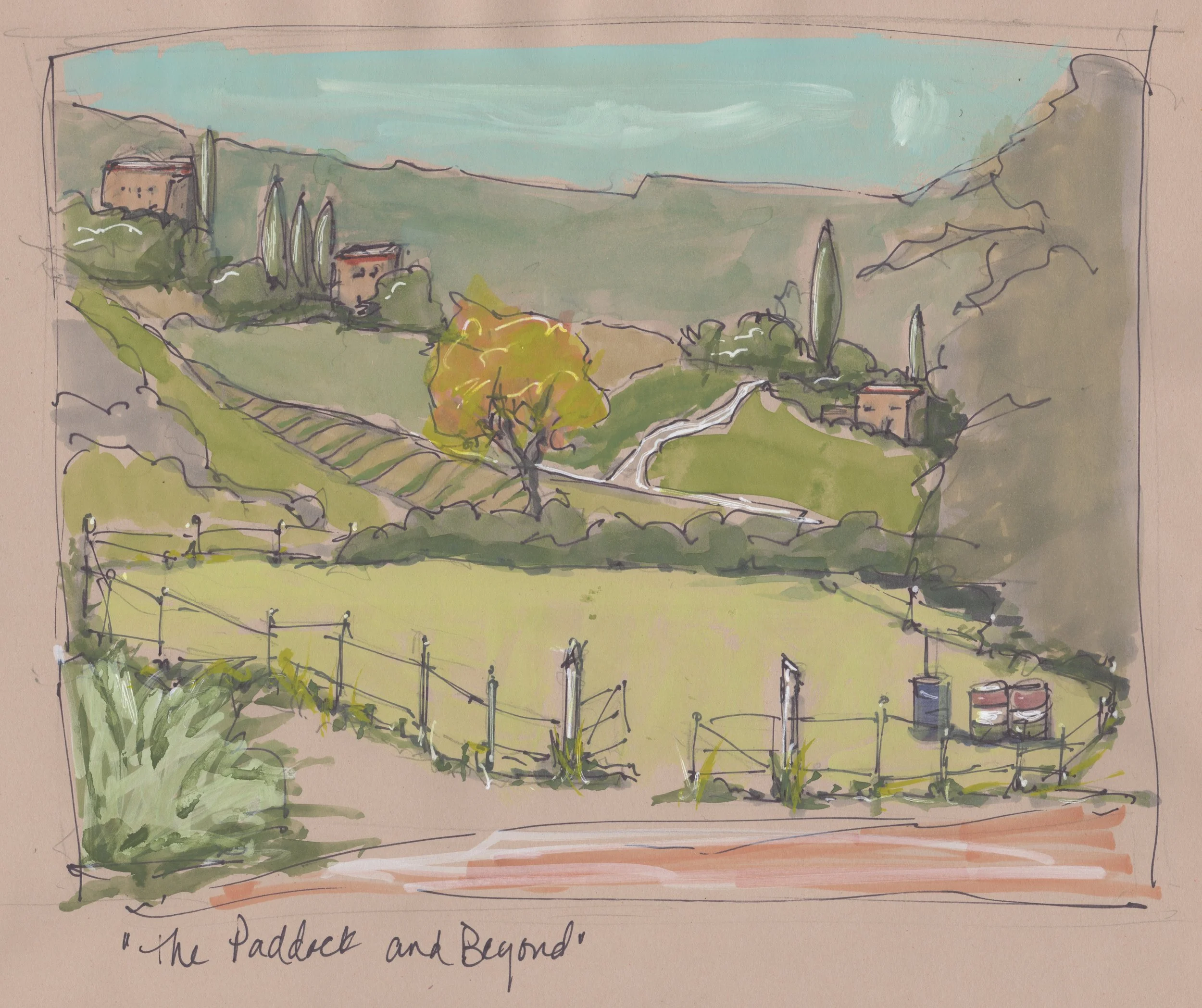 "The Paddock and Beyond"