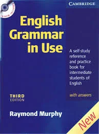 GRAMMAR IN USE BLUE.jpg
