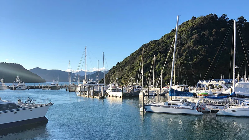 picton-marina.jpg