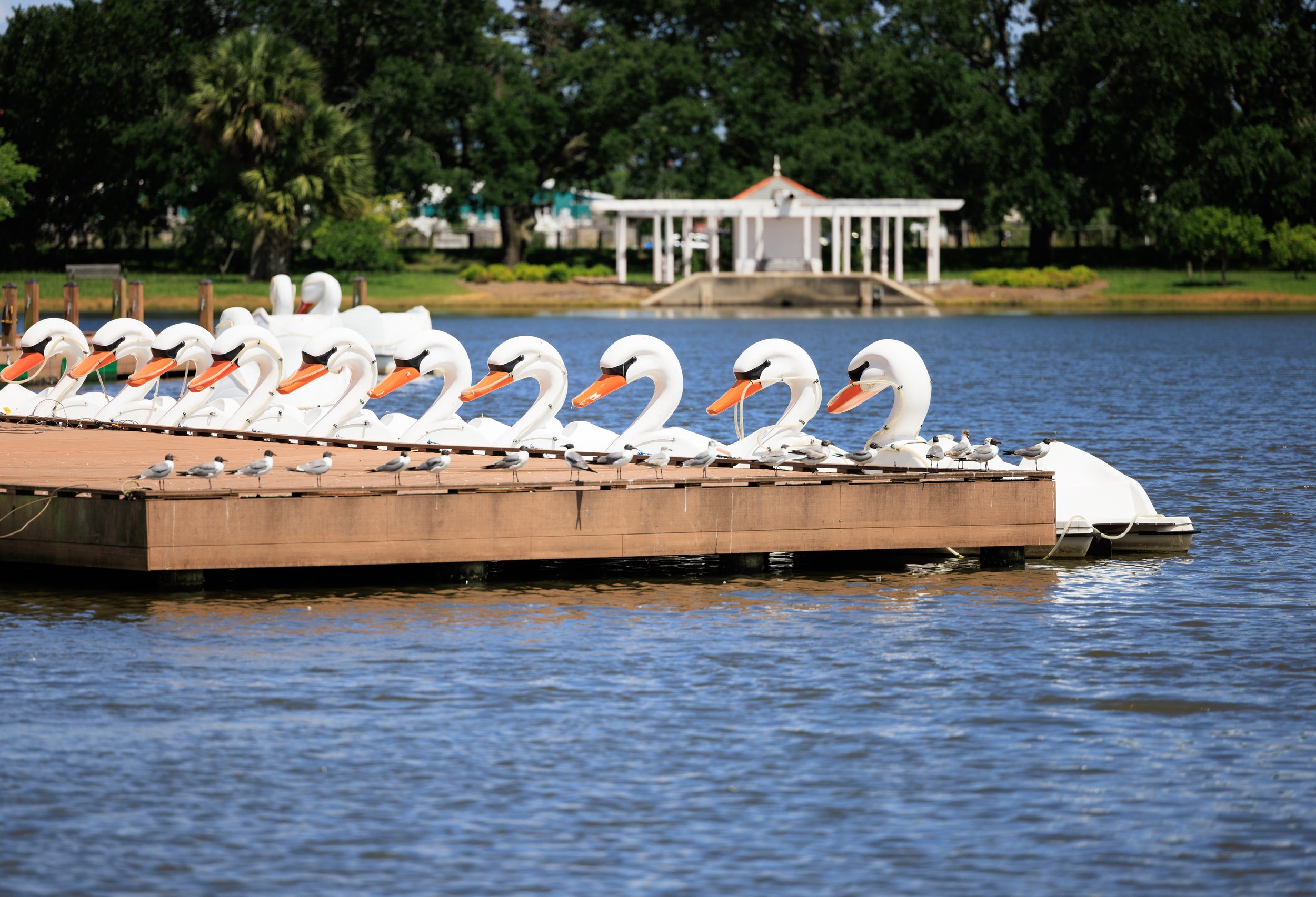 summer time-3719.jpg