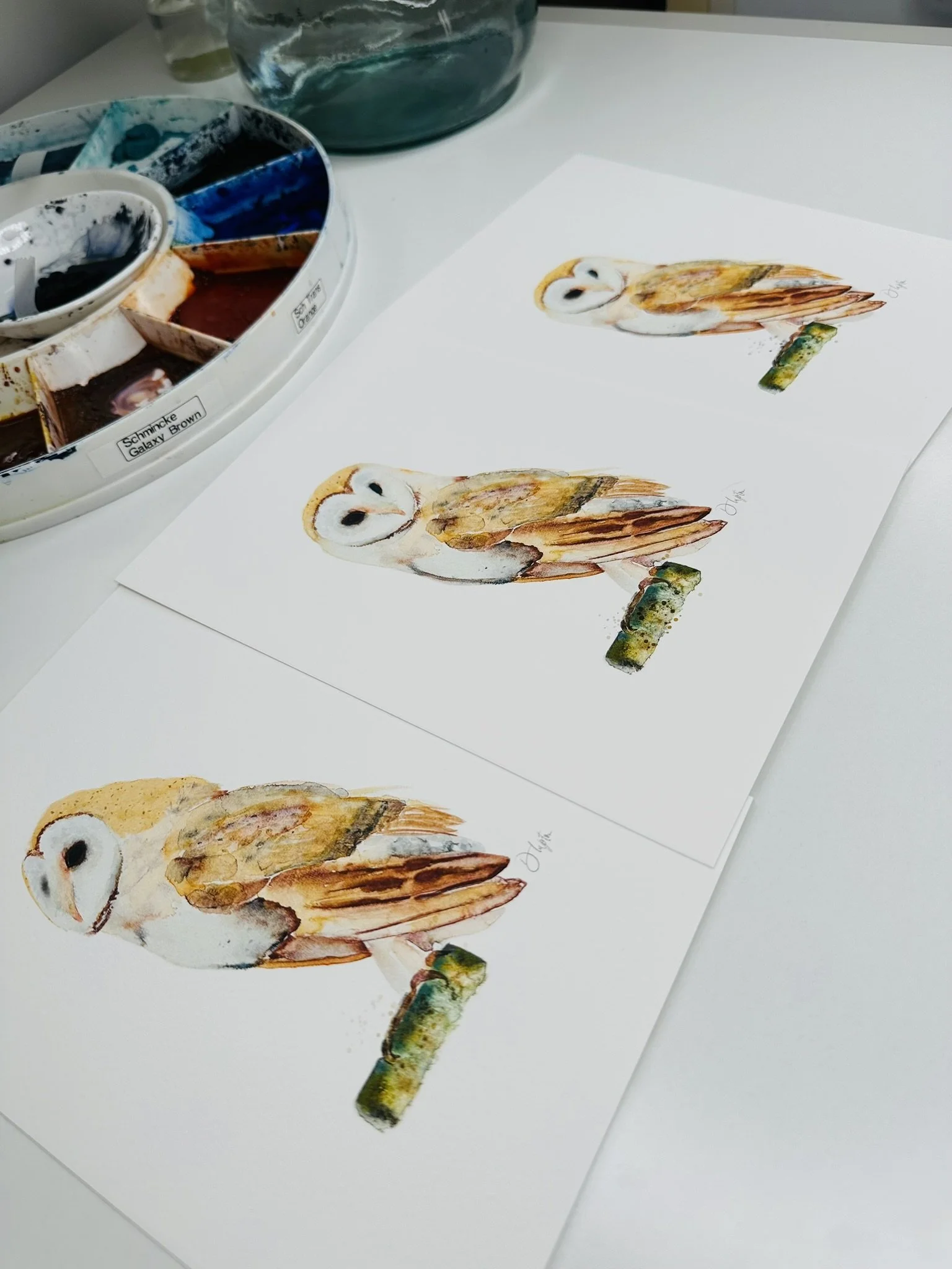Quillify Studio 25 Watercolour Barn Owl Dignity Noble and Grace desk view.JPEG