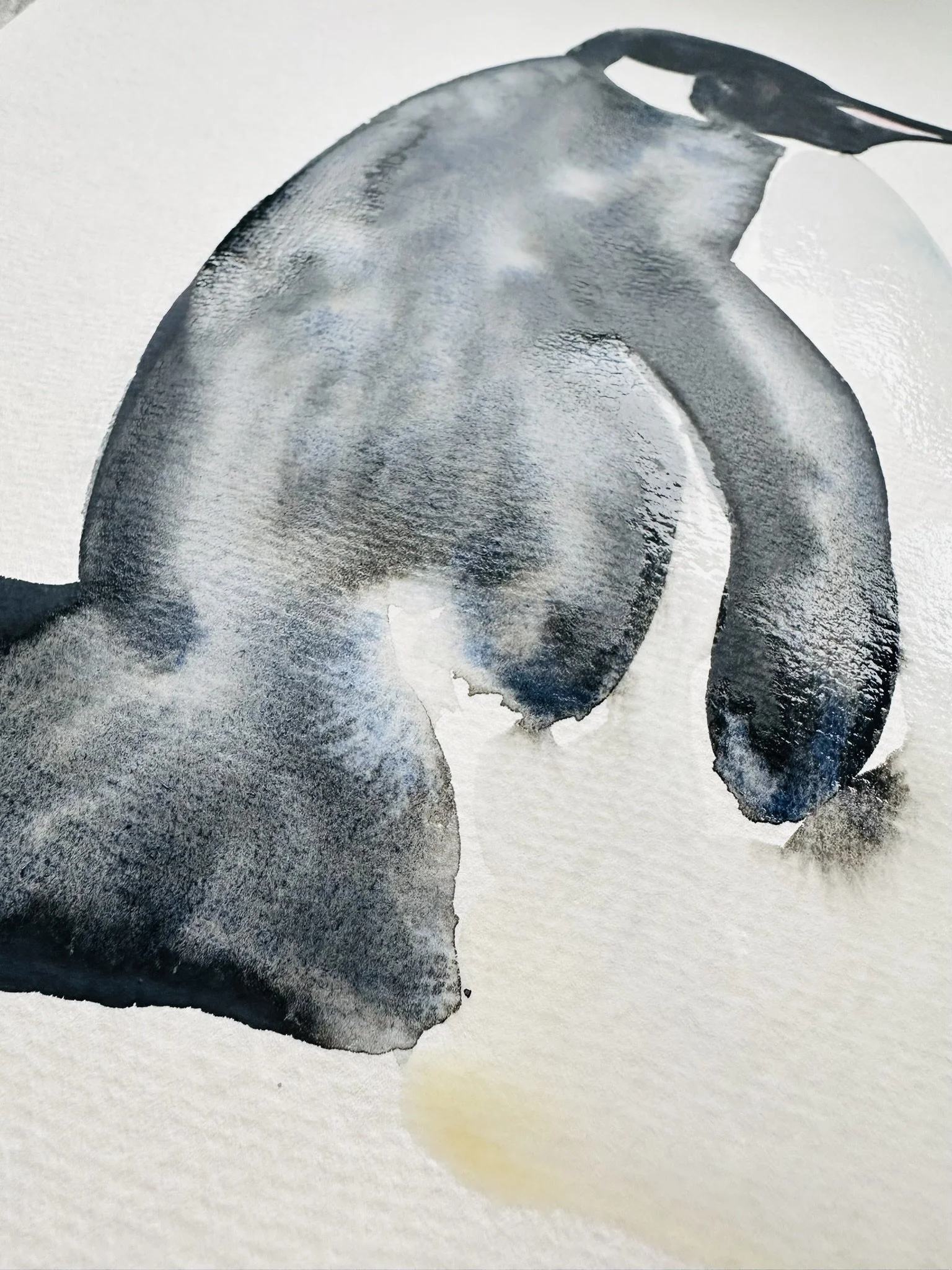 Quillify Studio 25 penguin desk view prep 4.JPEG