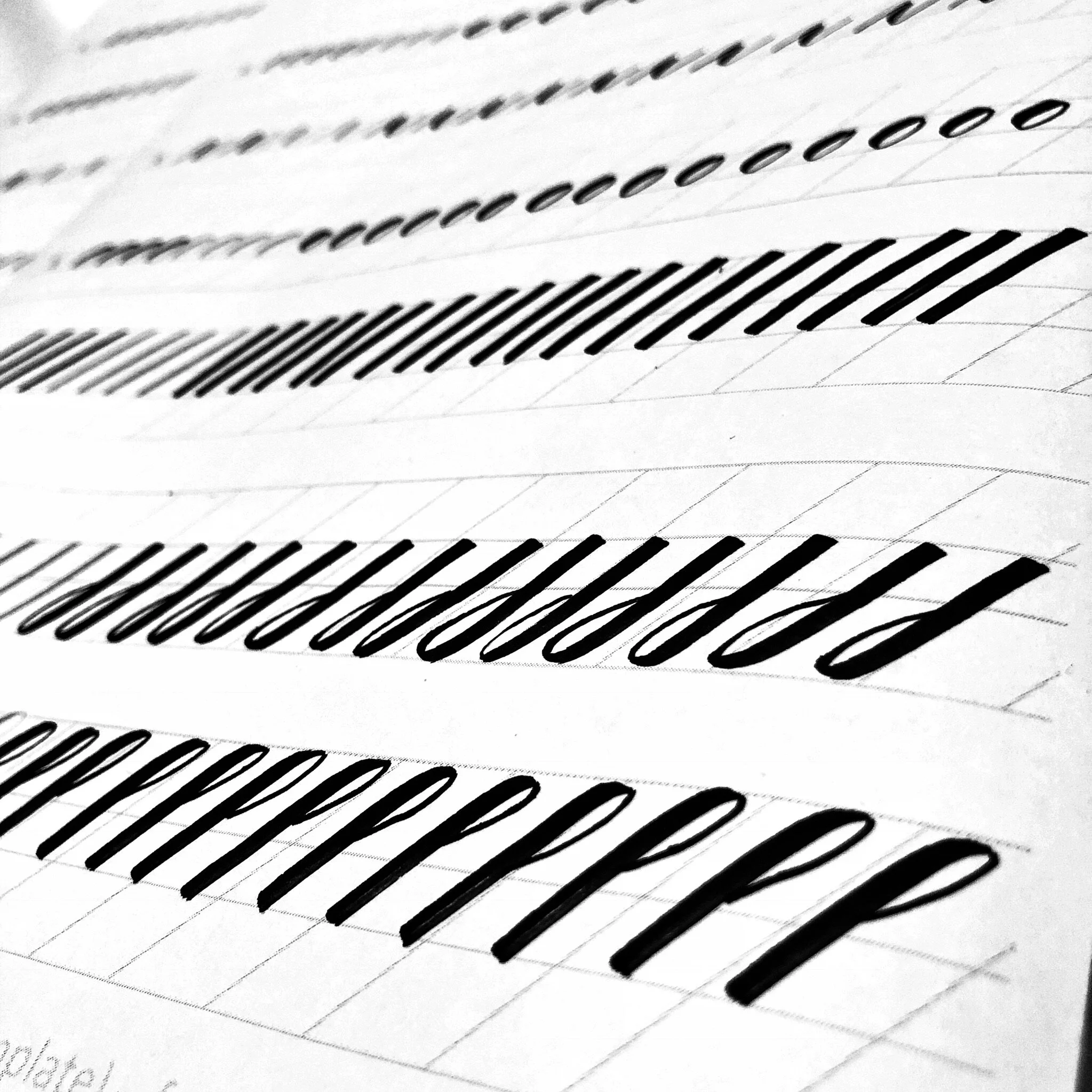 QS workshop images workbook 4.jpg