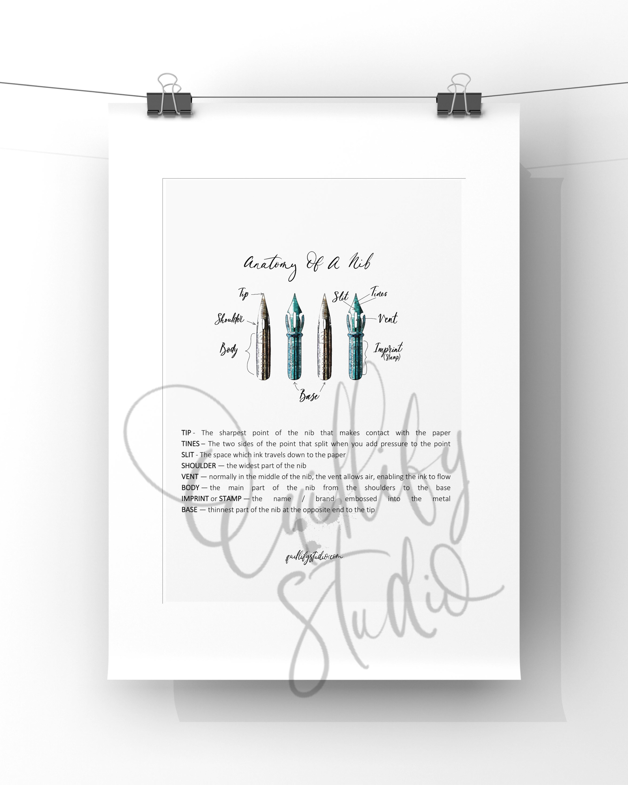 QS24 Social Anatomy Nib Poster.PNG