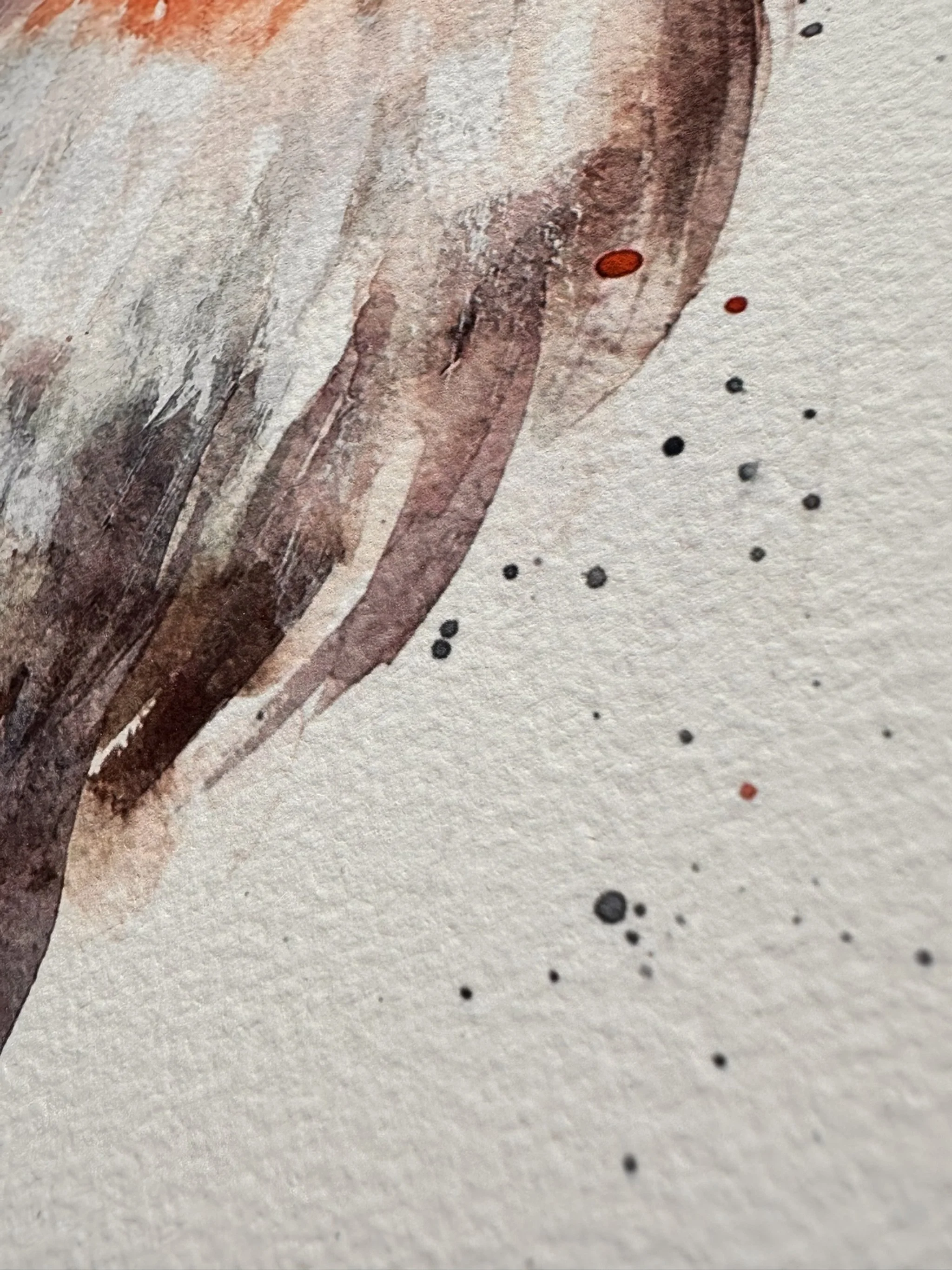 QS24 Fluff Updated Close up on arches paper 3.JPEG