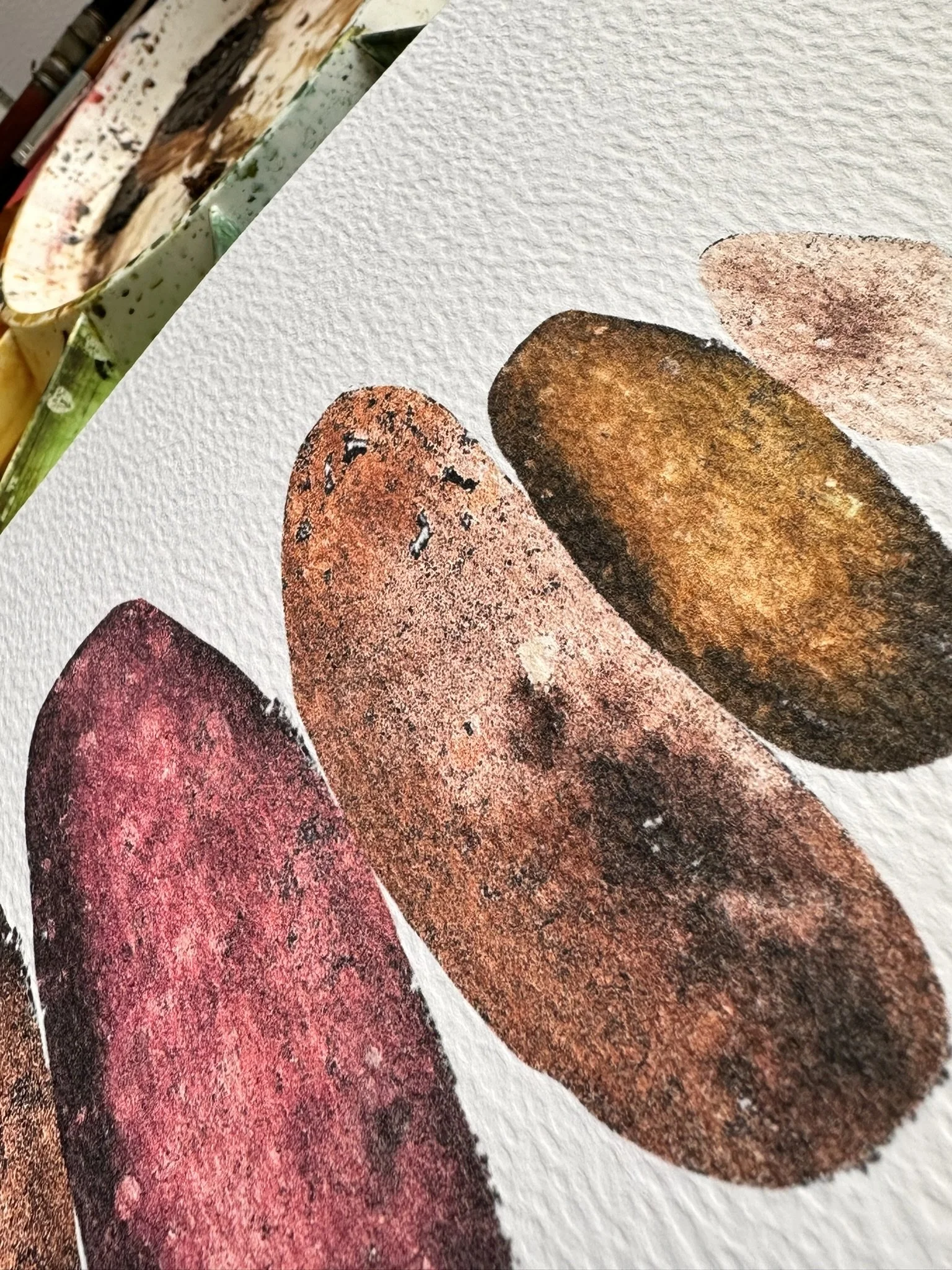 QS24 A3 Namaste Spud desk view close up 2.JPEG