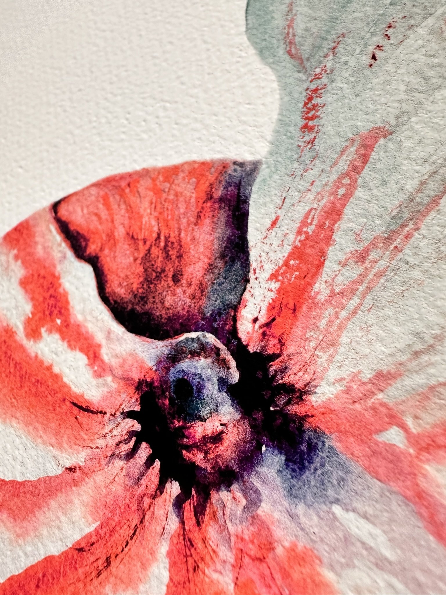 Digital Download Art Print - 2024 Blossom Shell close up.JPEG