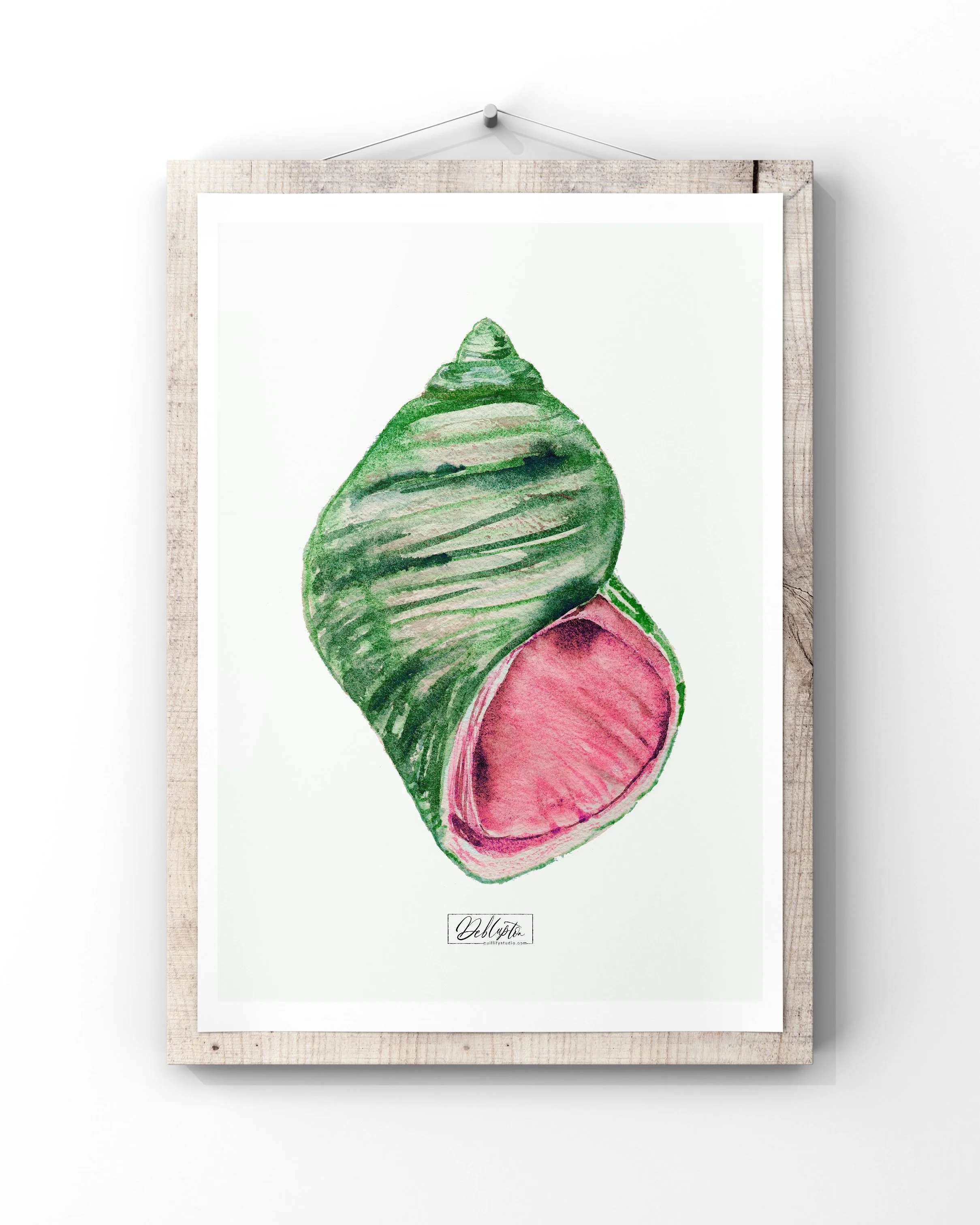 QS24 A3  Art Print - 2024 Shell One Summer poster.JPEG