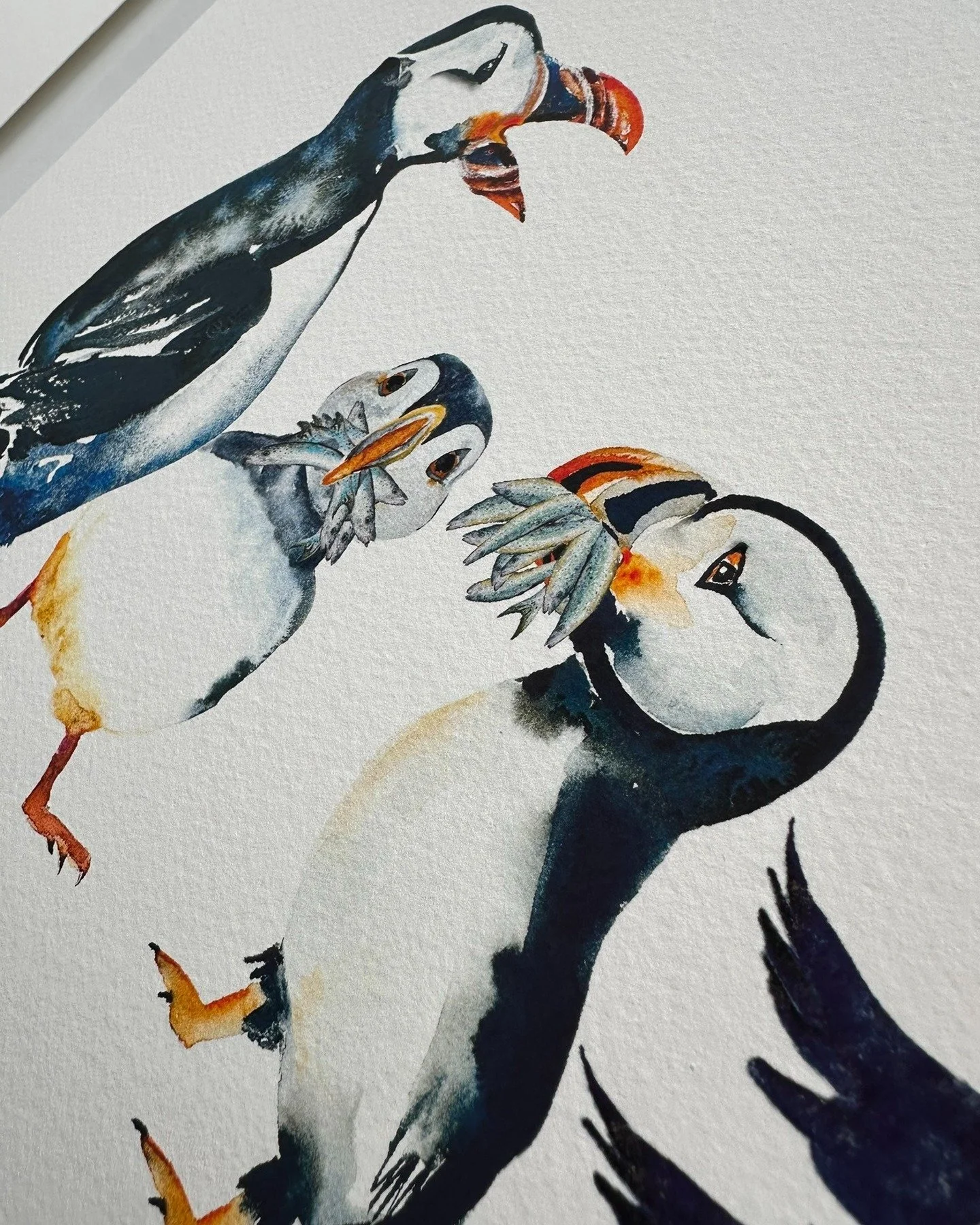 Hello friends 👋
Hope you’re all adding some colourful creativity to each day. It's a little wet here today so the perfect day to paint in my studio. Although my creative juices are flowing from an amazing trip we went on recently ... that wil