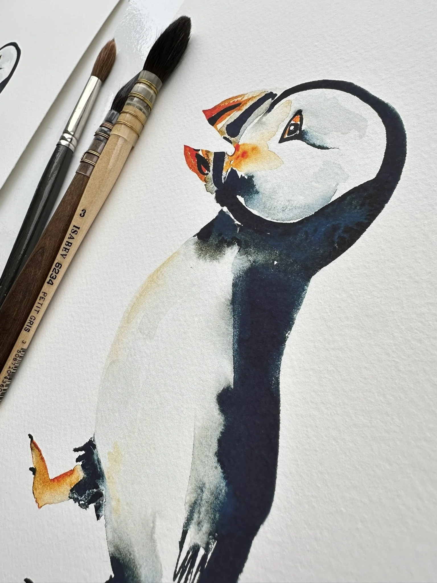 QS25 Young Chatty Puffin Side desk view.JPEG