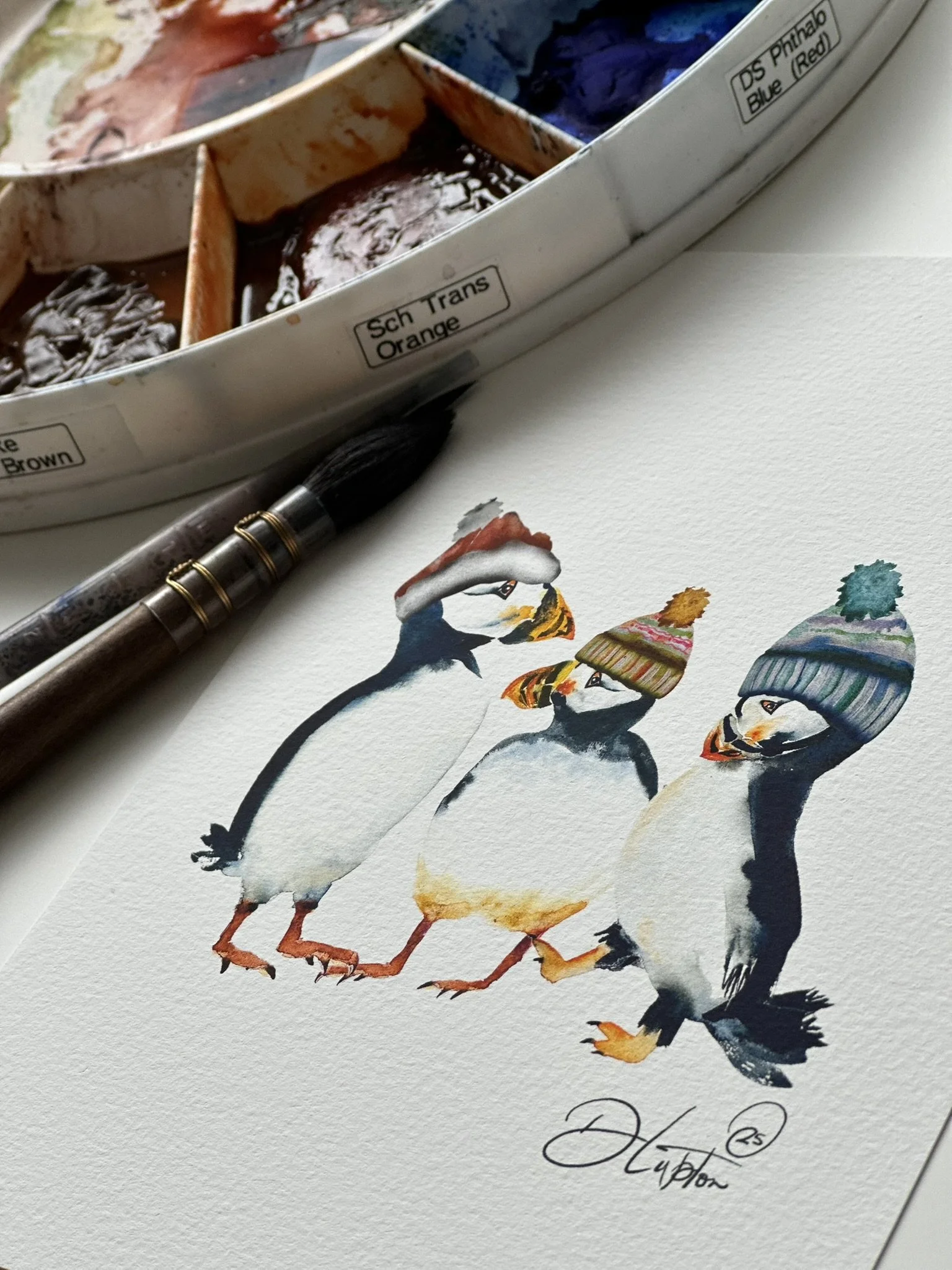 QS25 Puffin Groovy Bill Birds Signed desk view.JPEG