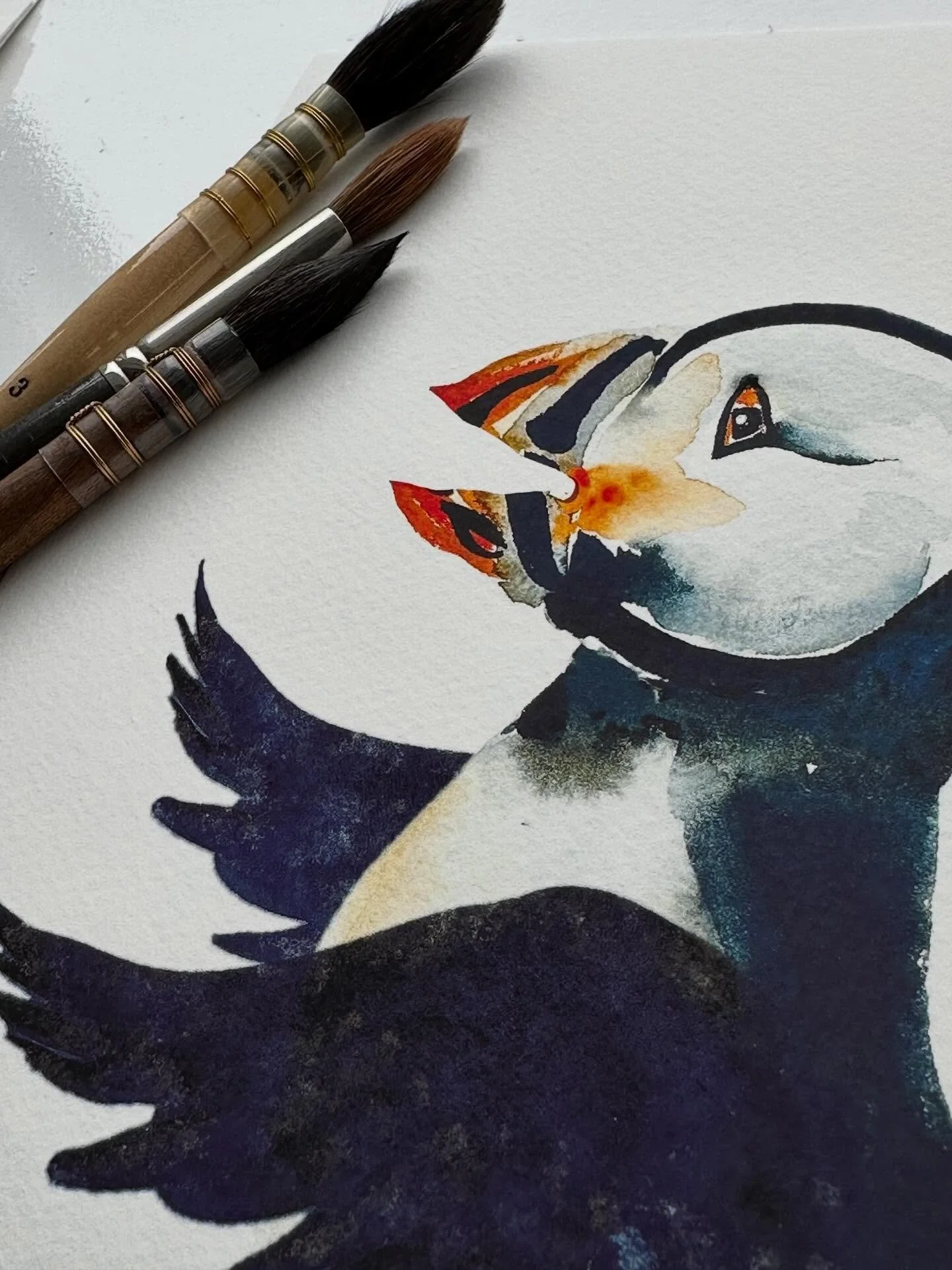Hello ‘Skater’, 
Skater is a young puffin, such an energetic character who adds joy and laughter to whole the colony. We love you Skater x 
.
.
.
#watercolourpuffin #watercolorpuffin
#watercolorabstract #watercolor_painting #watercolord