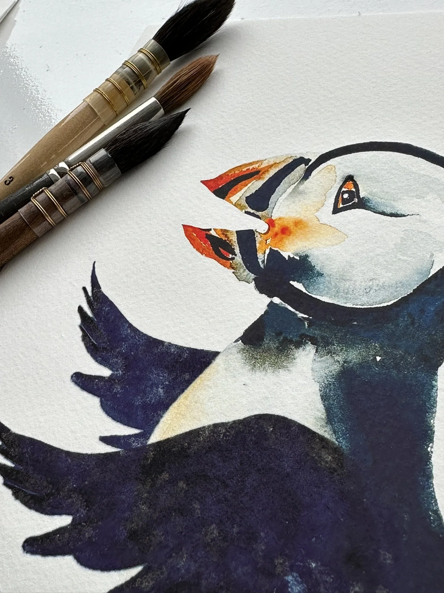 QS25 Young Skater Chatty Wings Puffin Side desk view 2.JPEG