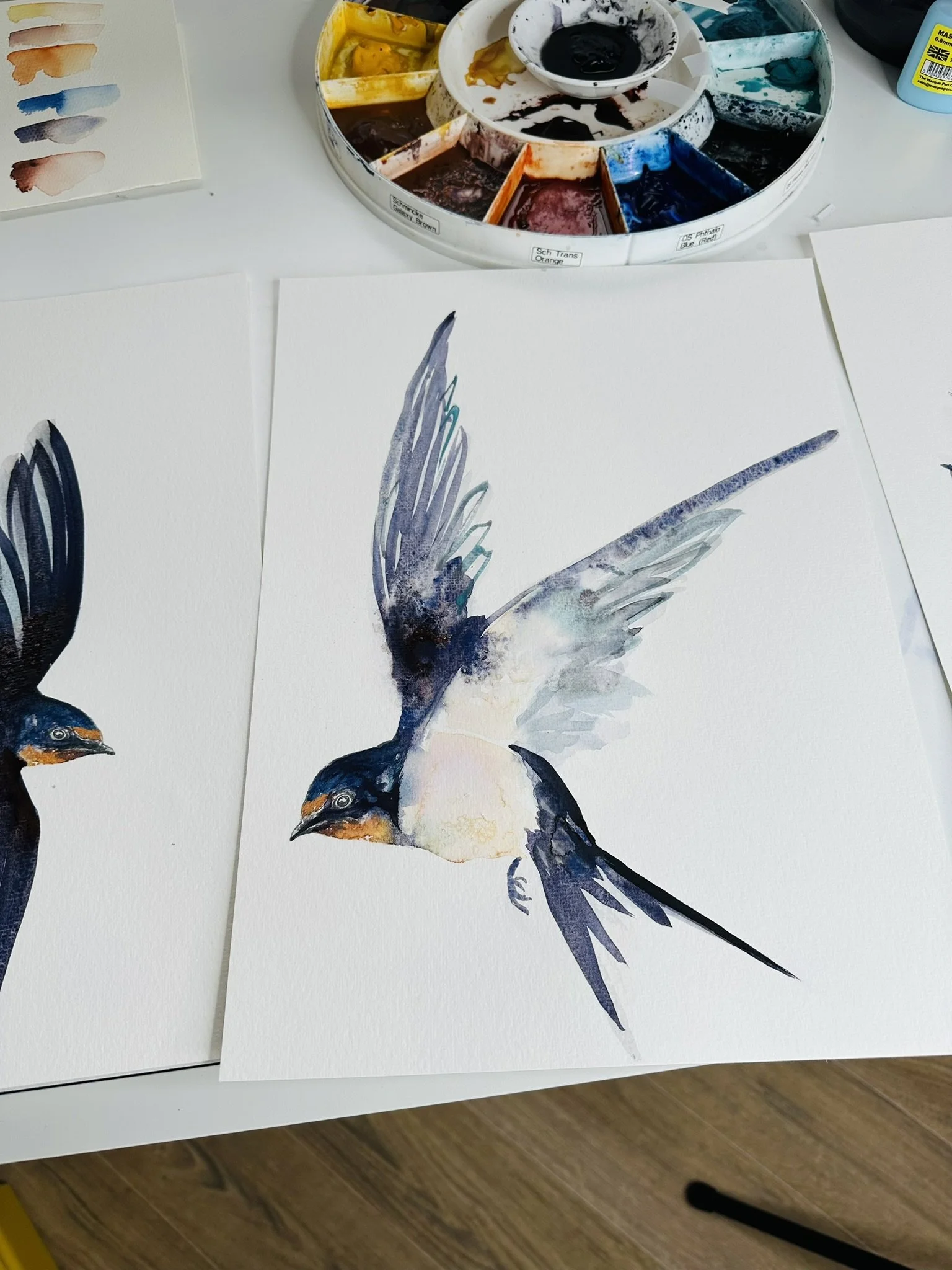 Quillify Studio 25 Desk view Swallow flight 1.JPEG