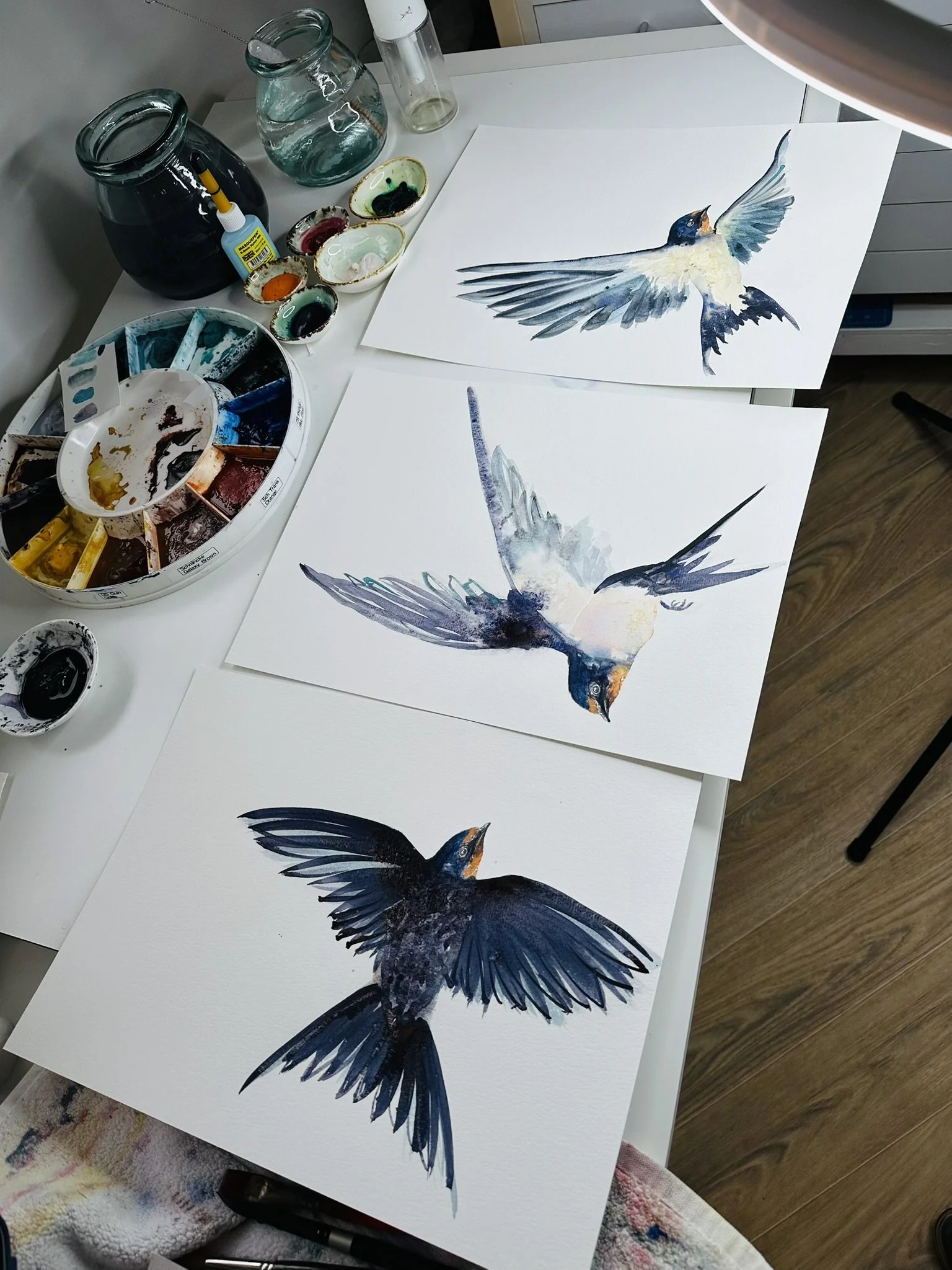 Quillify Studio 25 Desk view Swallow flight x 3.JPEG