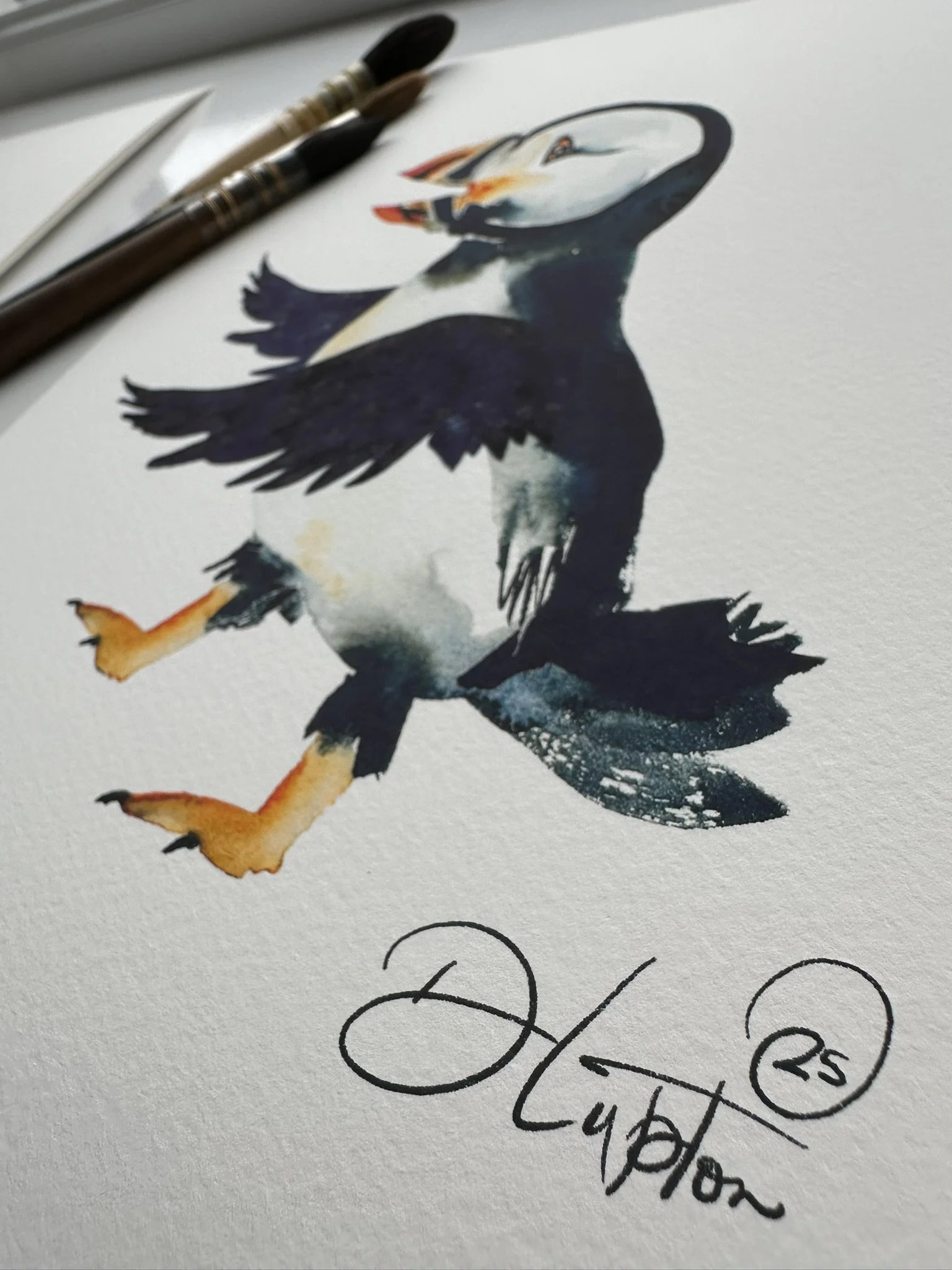 QS25 Young Skater Chatty Wings Puffin Side desk view.JPEG