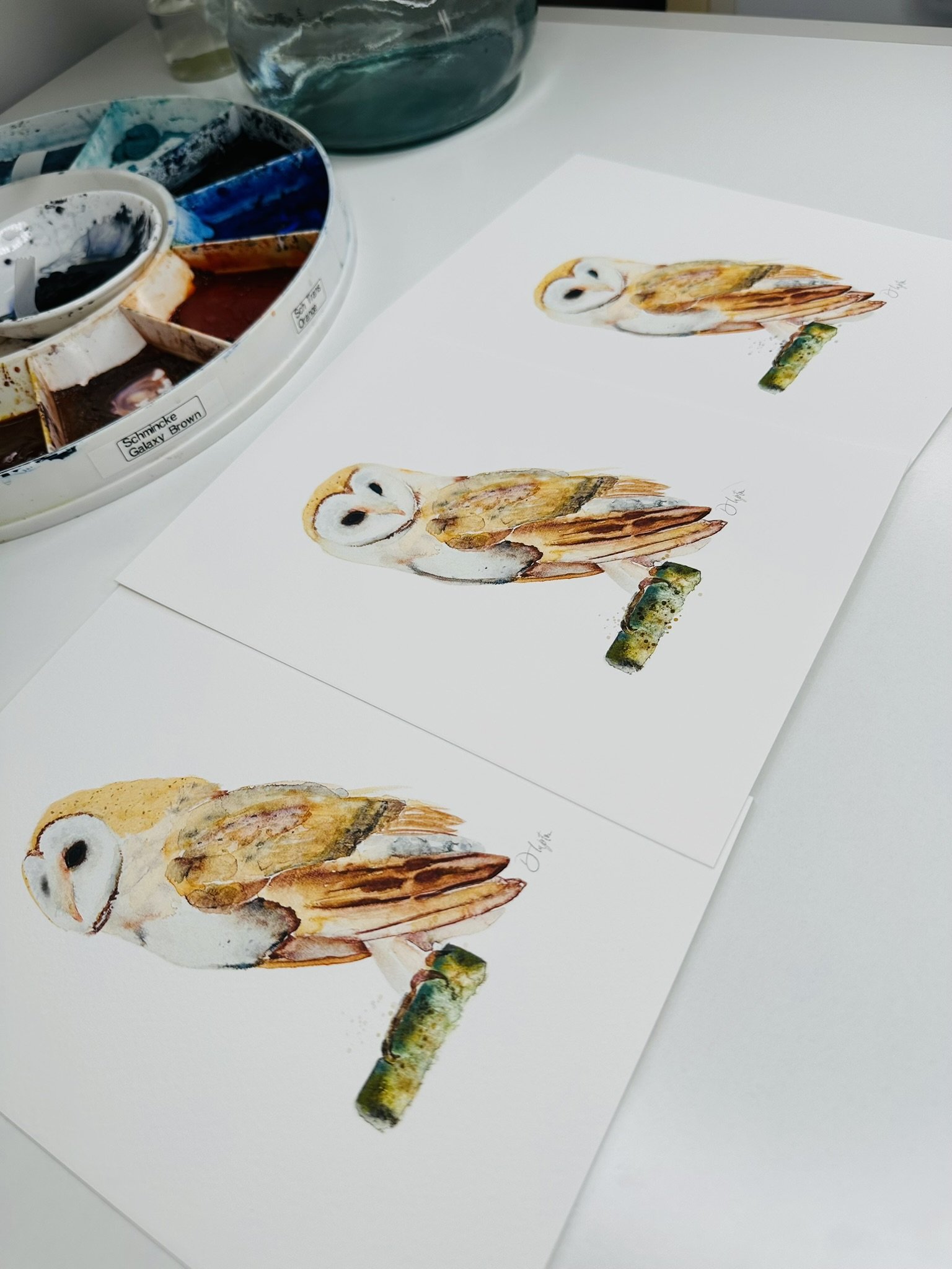 Quillify Studio 25 Watercolour Barn Owl Dignity Noble and Grace desk view.JPEG