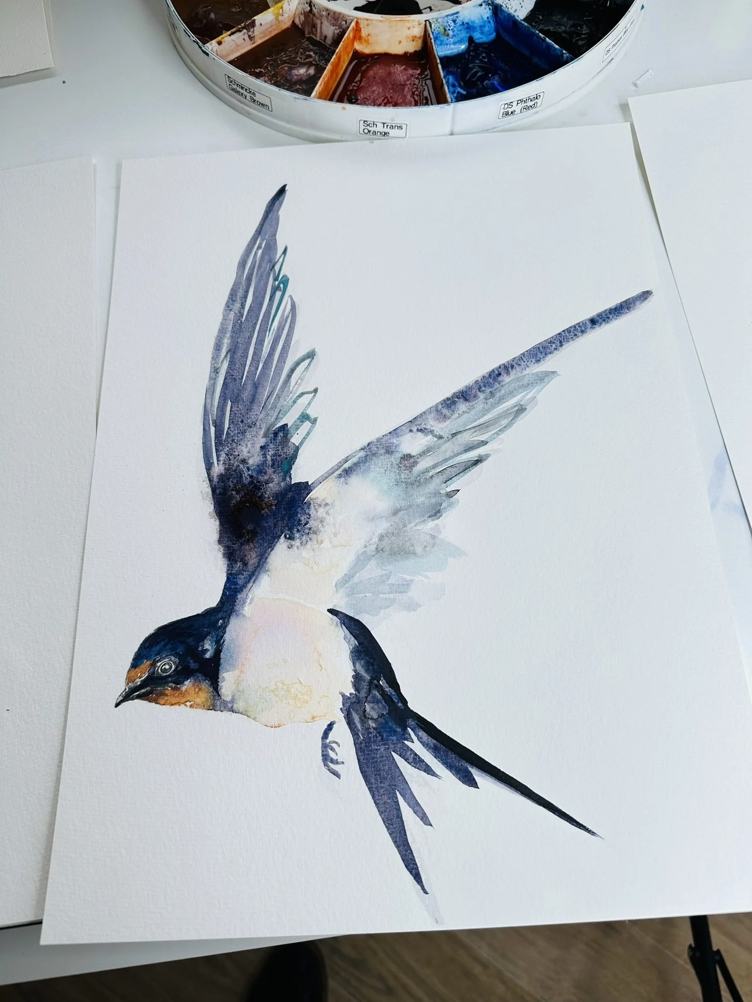 Quillify Studio 25 Desk view Swallow flight 1 b.JPEG