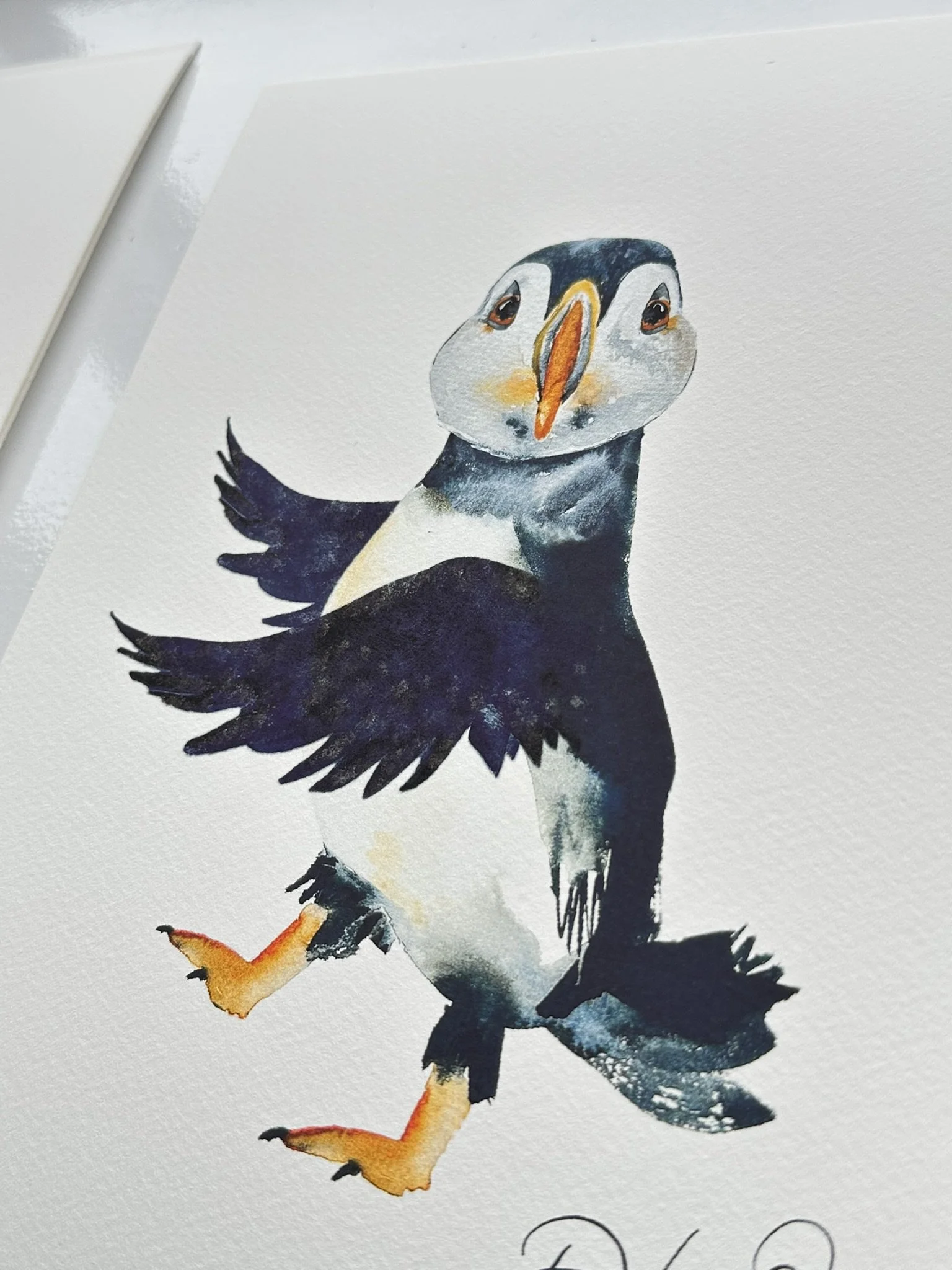 QS25 Young Skater Chatty Wings Puffin Front desk view.JPEG