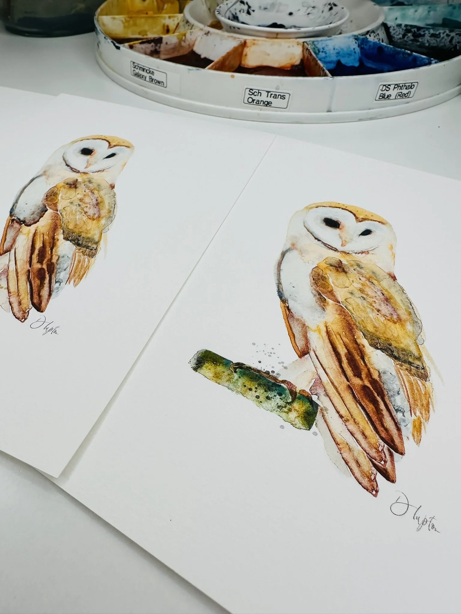 Quillify Studio 25 Watercolour Barn Owl Dignity desk view.JPEG
