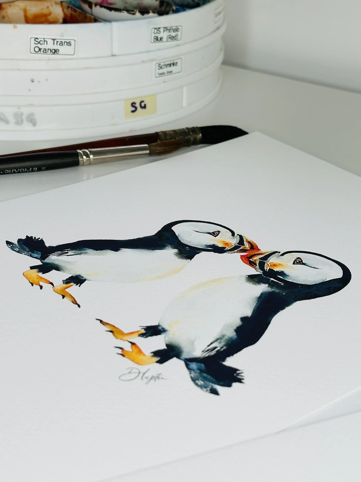 Quillify Studio 25 Puffins Doodle and Splat desk view.JPEG