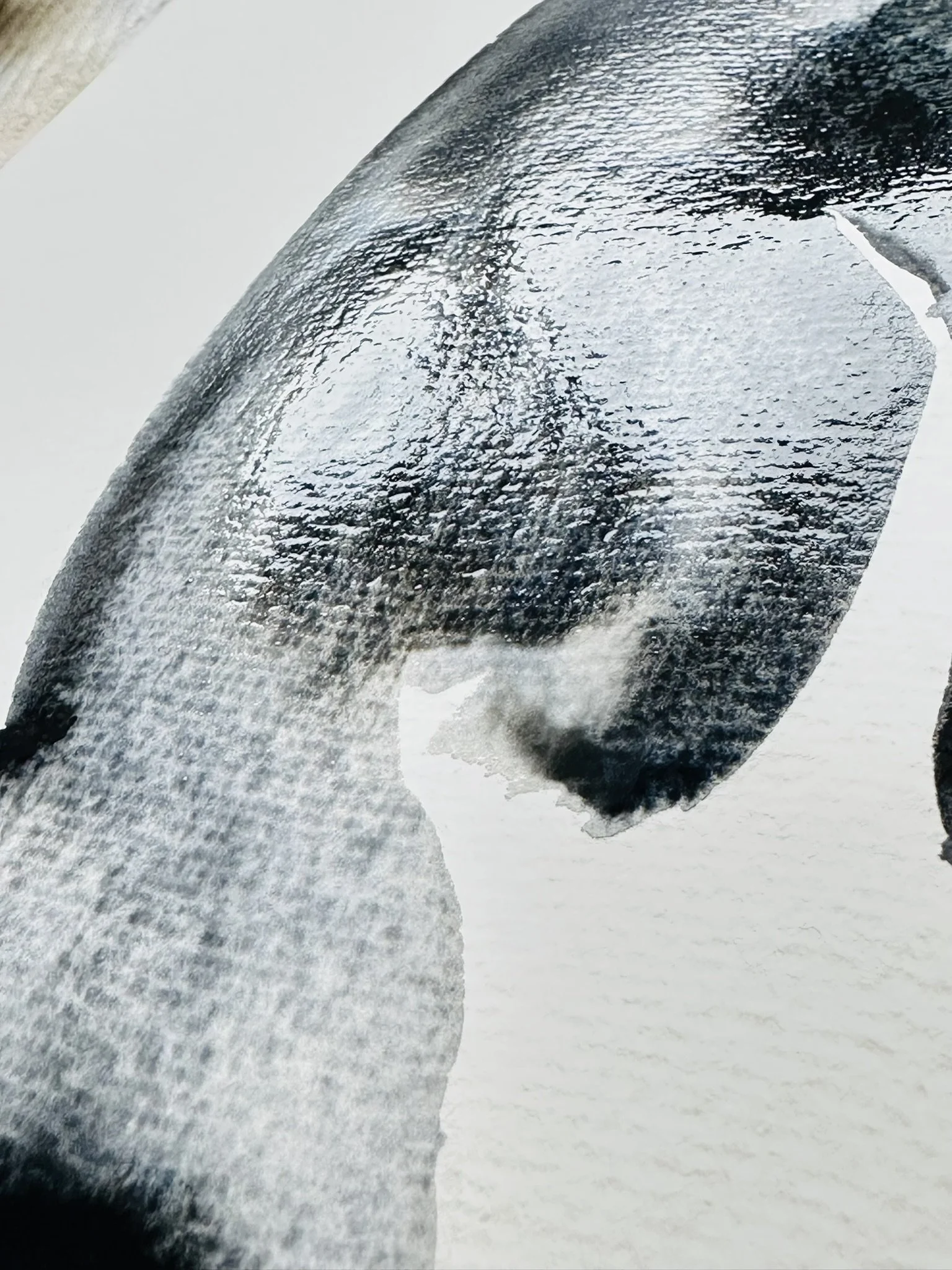 Quillify Studio 25 penguin desk view prep 2.JPEG