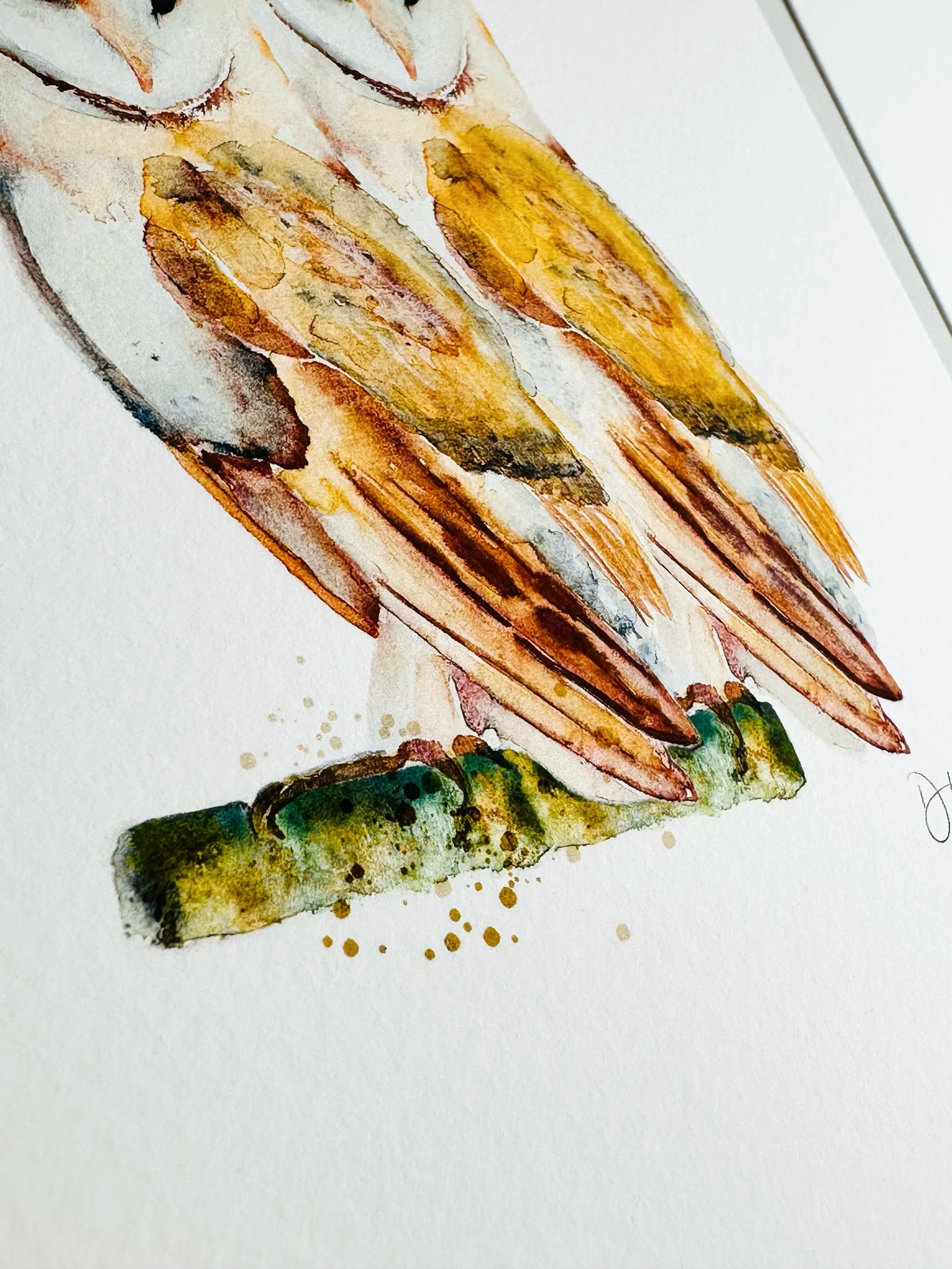 Quillify Studio 25 Watercolour Barn Owl Affinity desk view.JPEG