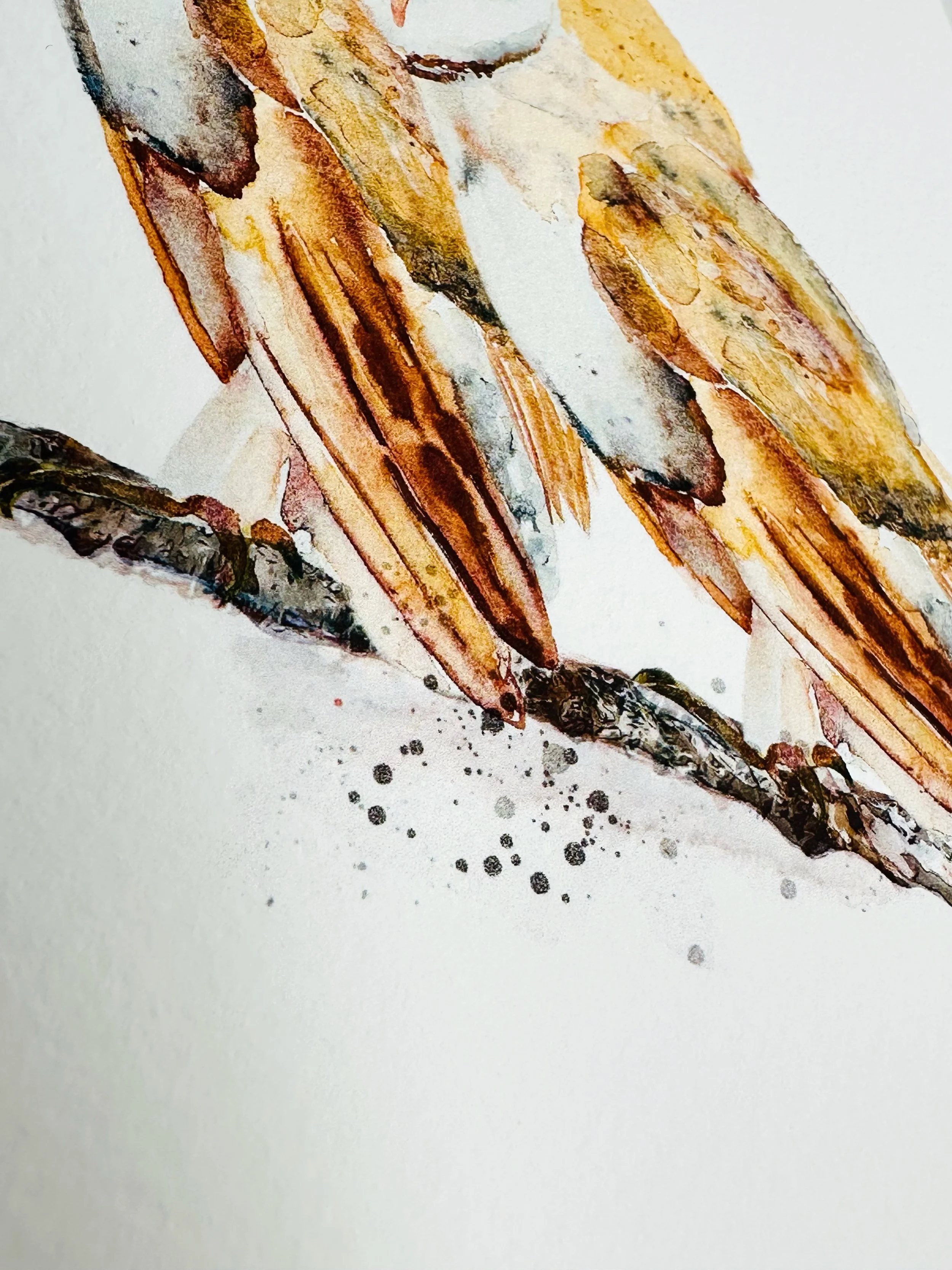 Quillify Studio 25 Watercolour Barn Owl Togetherness desk view.JPEG