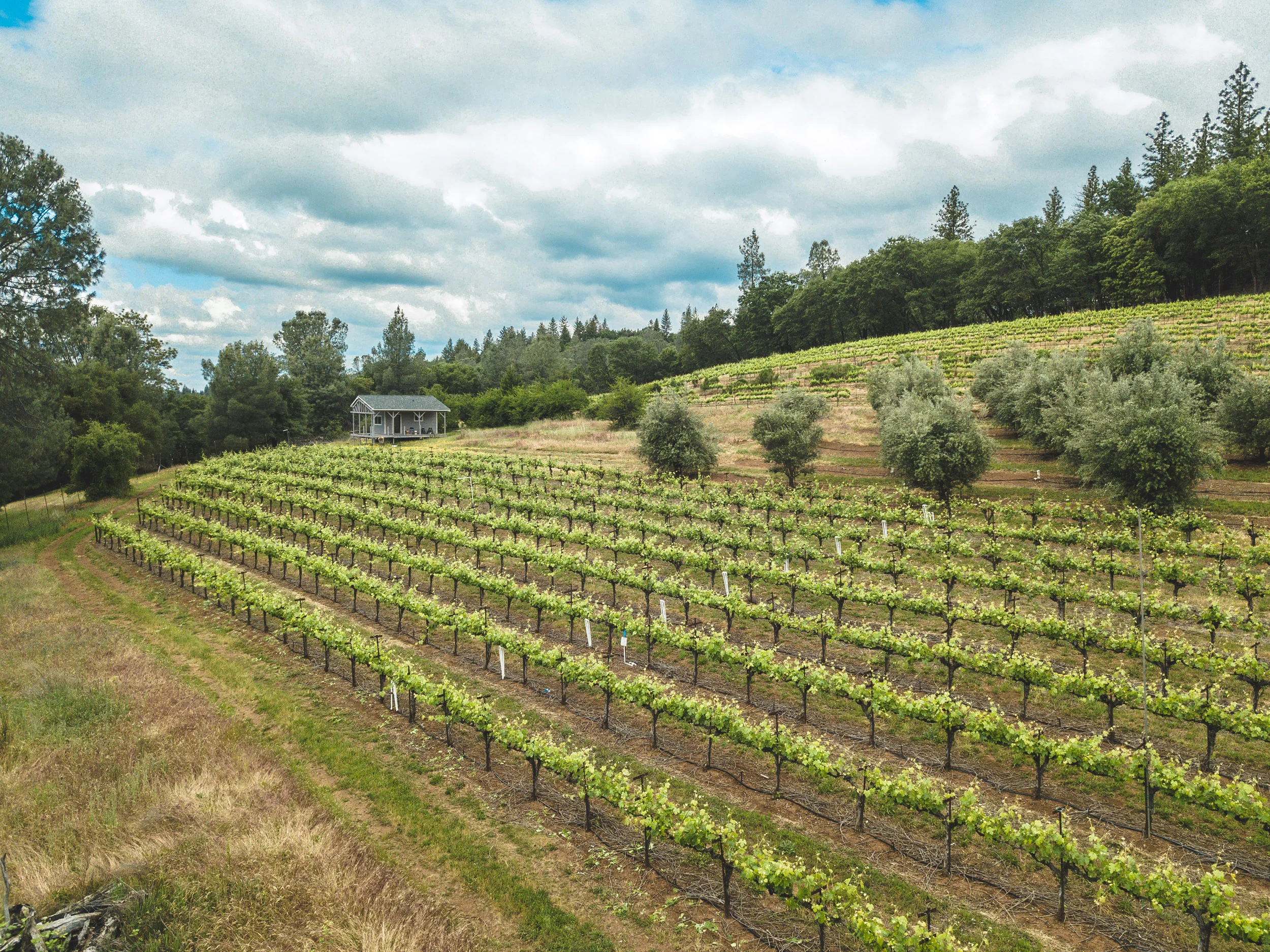 DJI_0139 (1)b.jpg
