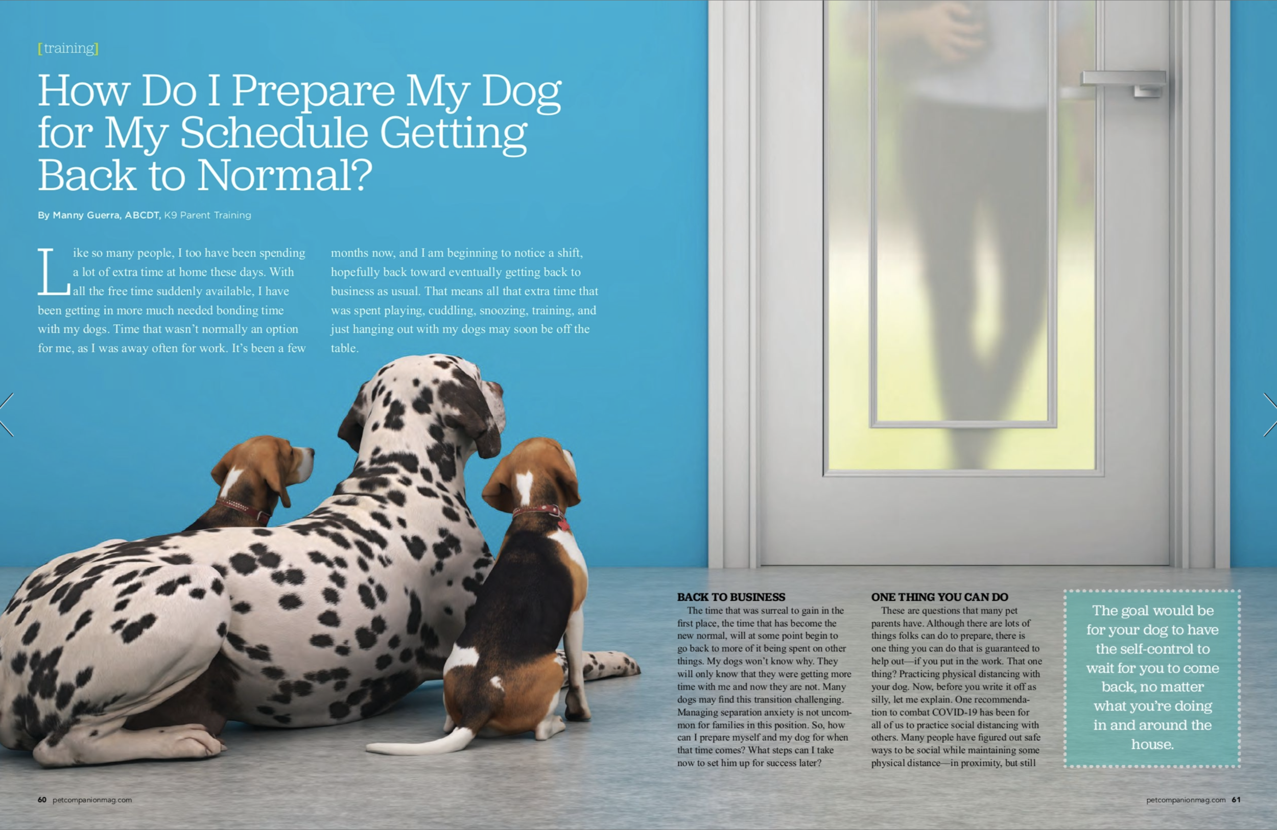 Pet Companion Magazine: Summer 2020