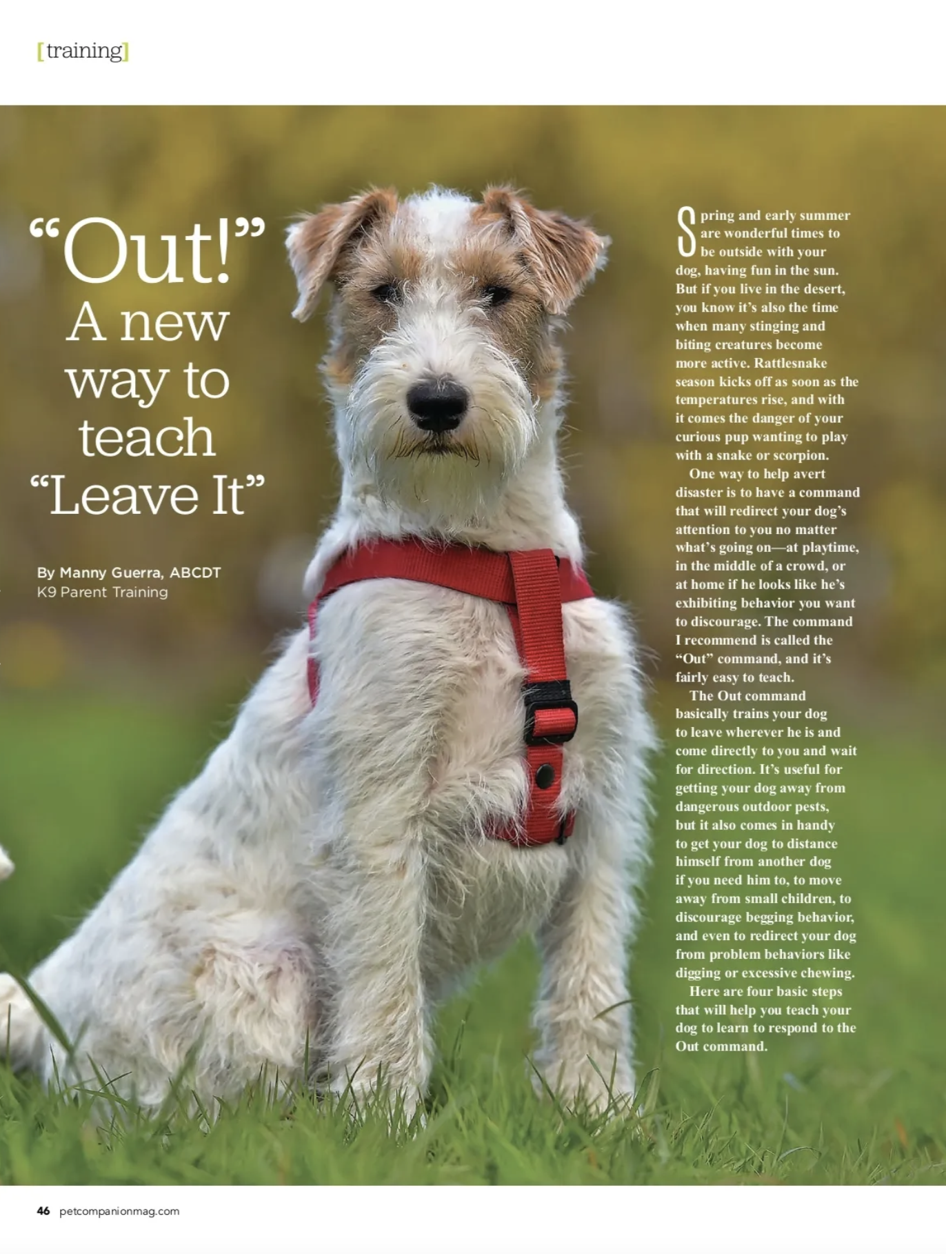 Pet Companion Magazine:  Spring 2021