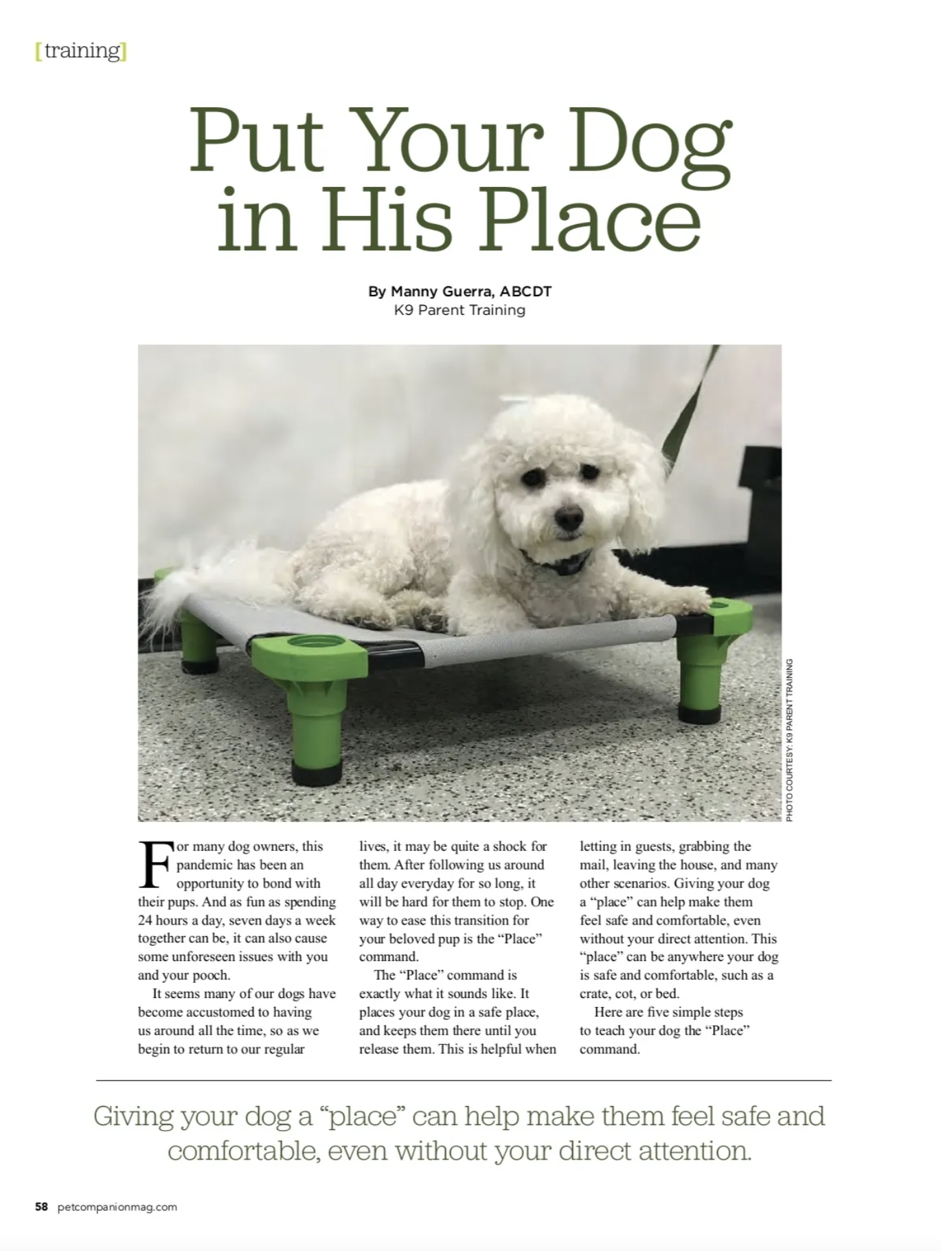 Pet Companion Magazine: Summer 2021