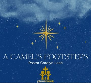 A Camel's Footsteps - Pastor Carolyn Leah
