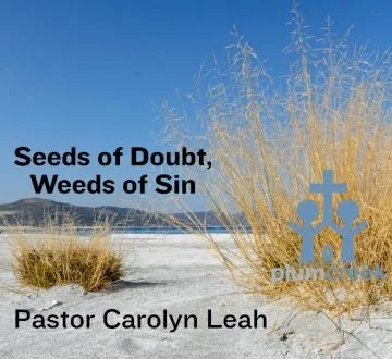 Seeds of Doubt, Words of Sin - Pastor Carolyn Leah