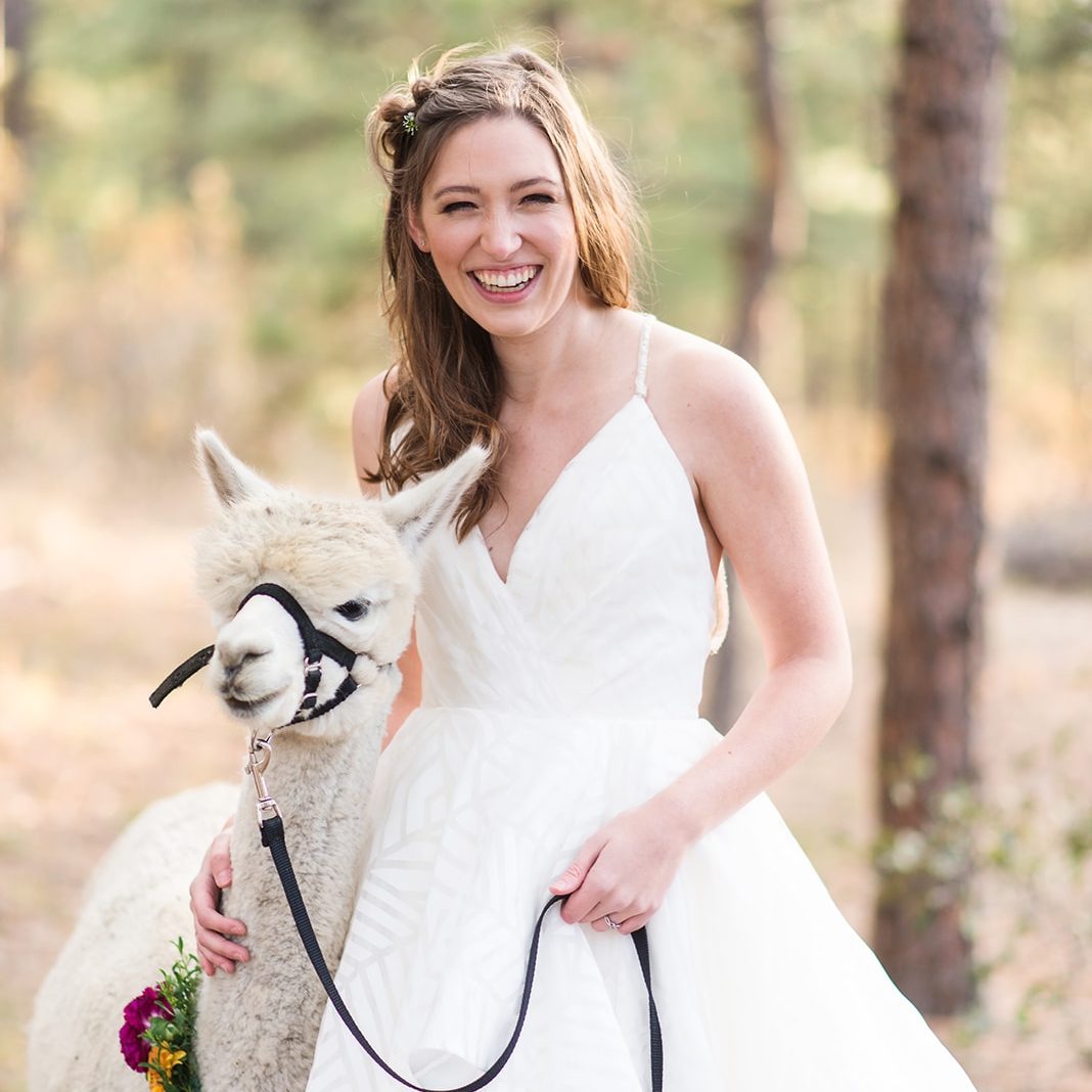 Rachel Schrepel Photography