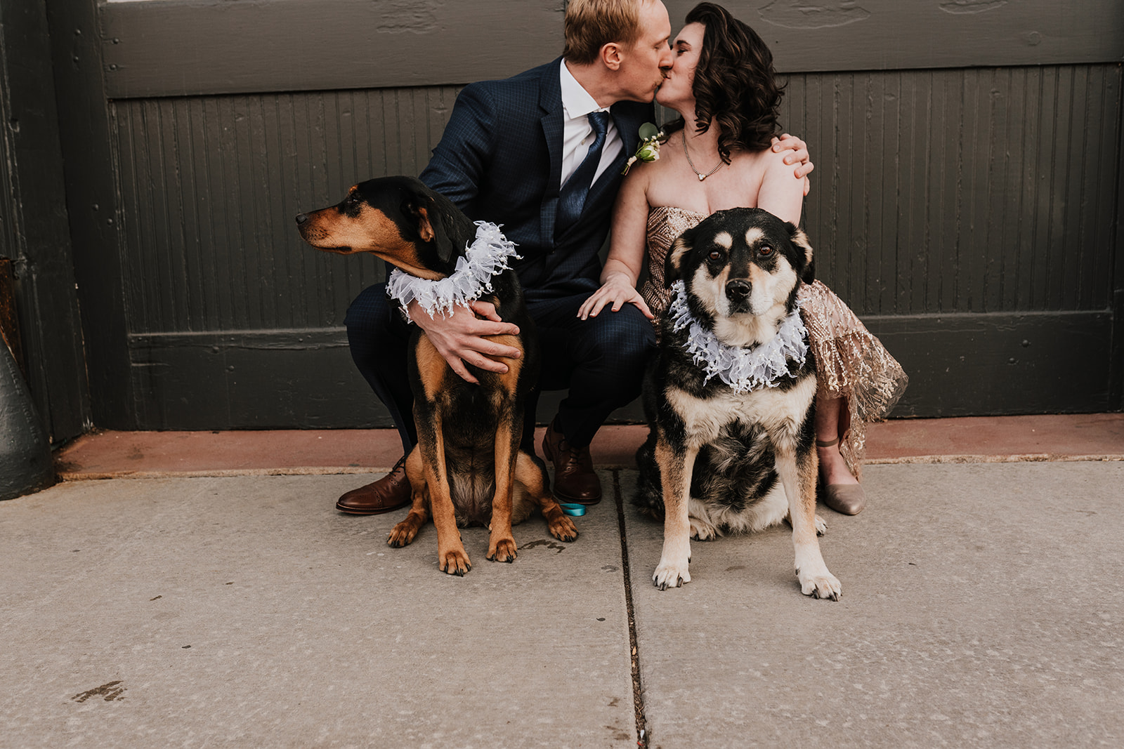 St. Vrain wedding longmont dog friendly