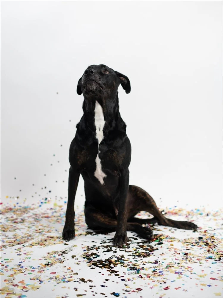 Kaitlin Shea_HEAD 2_60.jpg