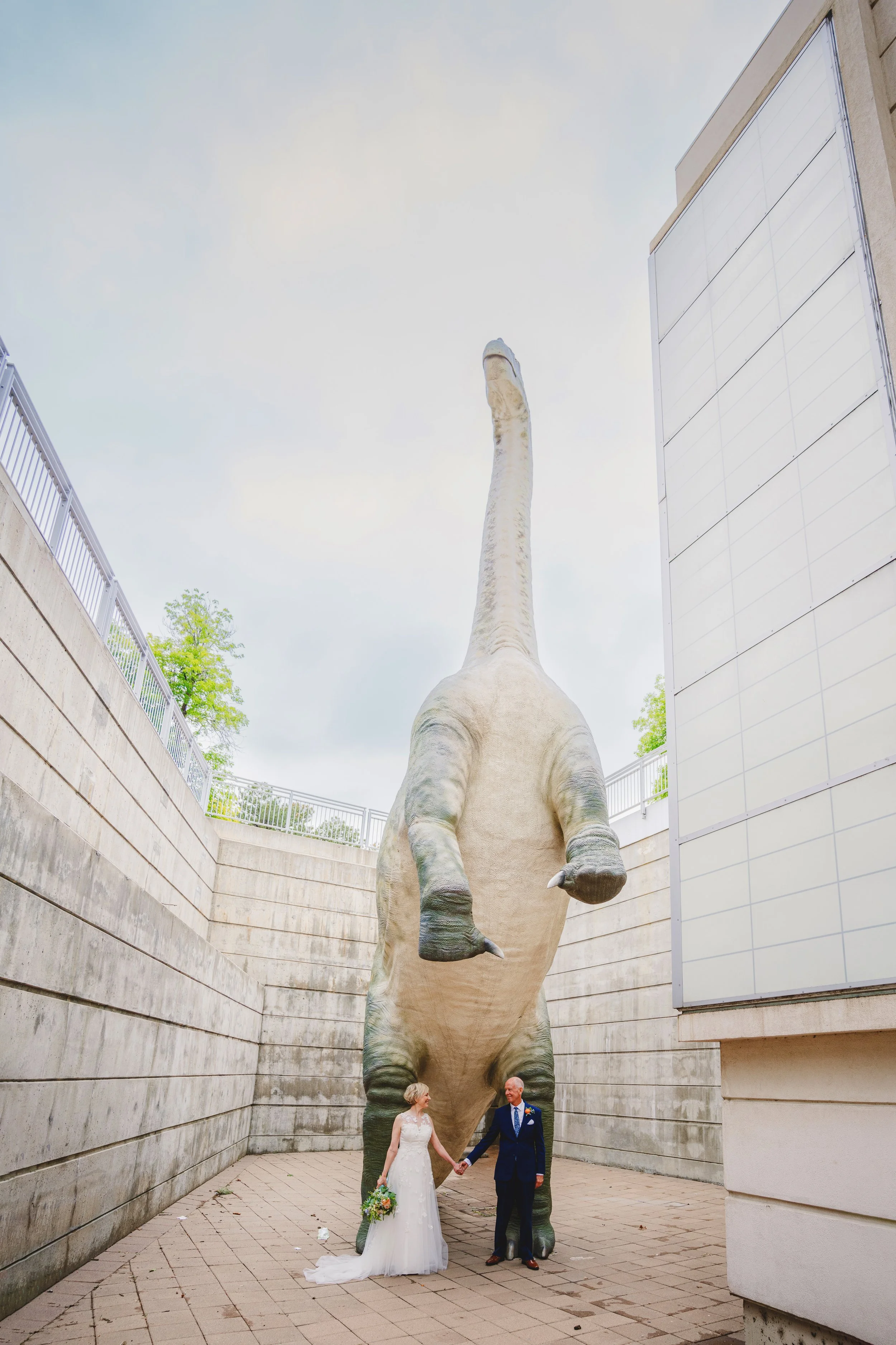 Steve &amp; Becky's DMNS Affair