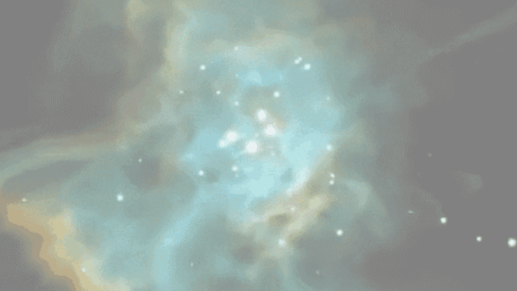 animation (1).gif