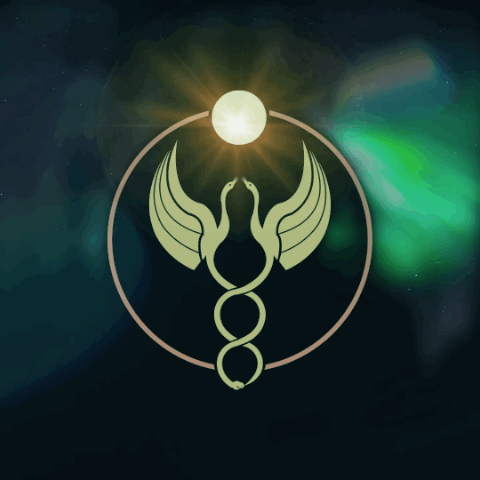 053F18EA-CDBD-4719-949C-34E325490F36.gif