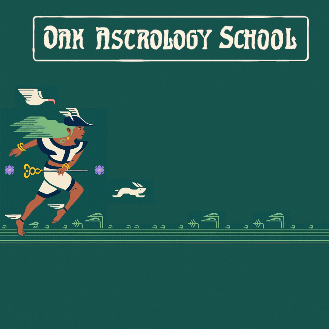 Learn practitioner level astrology 