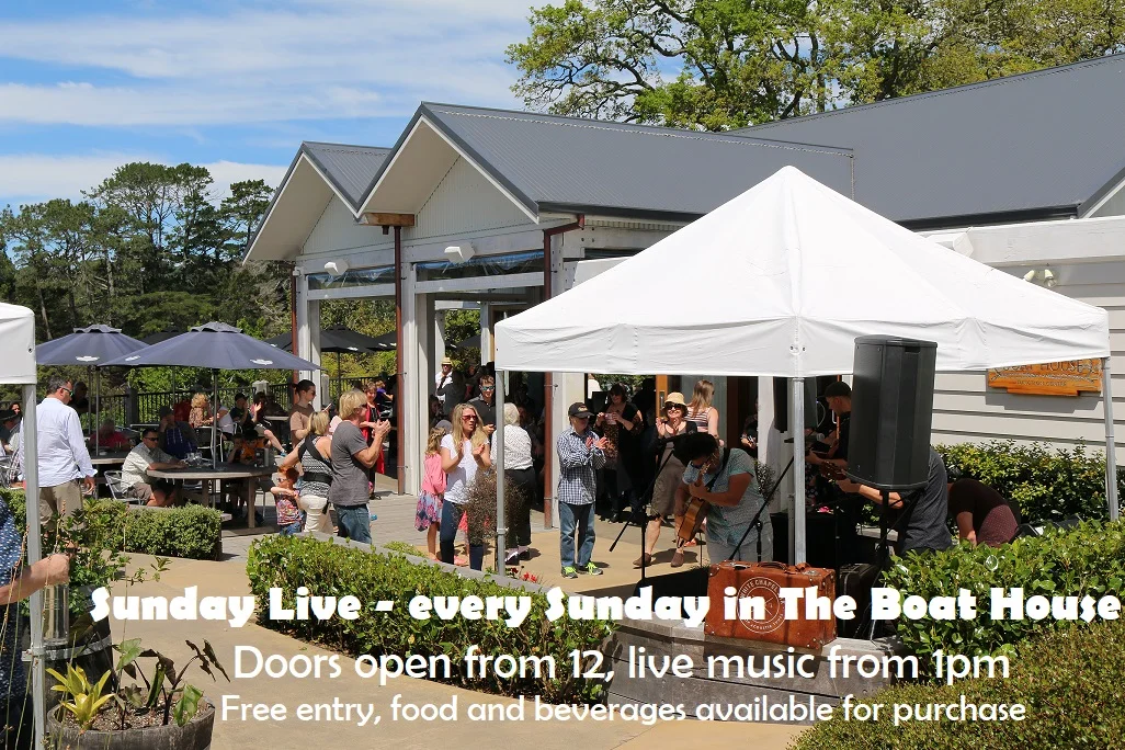 sunday live image general.jpg