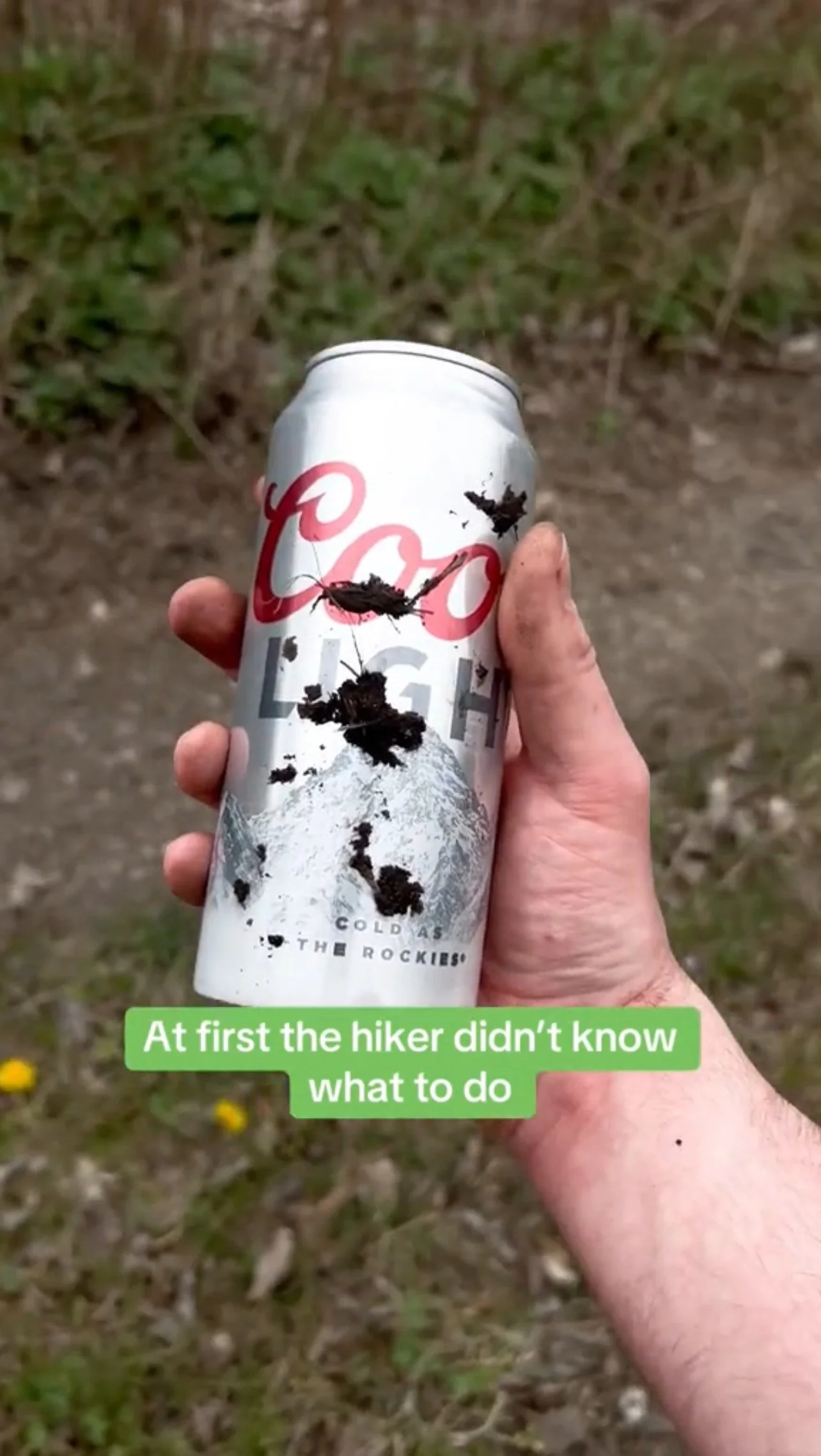 Coors Light