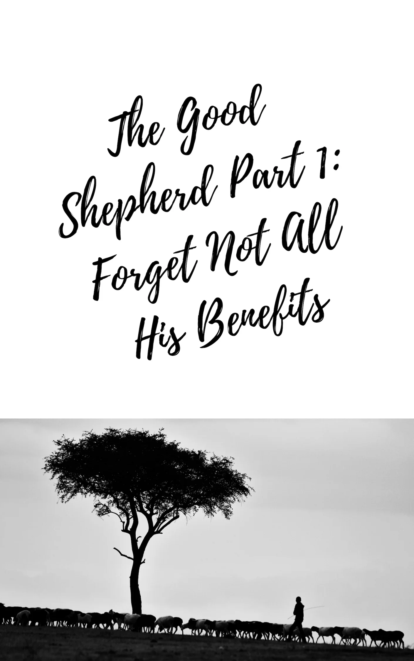The Good Shepherd Part 1: Forget Not All His Benefits