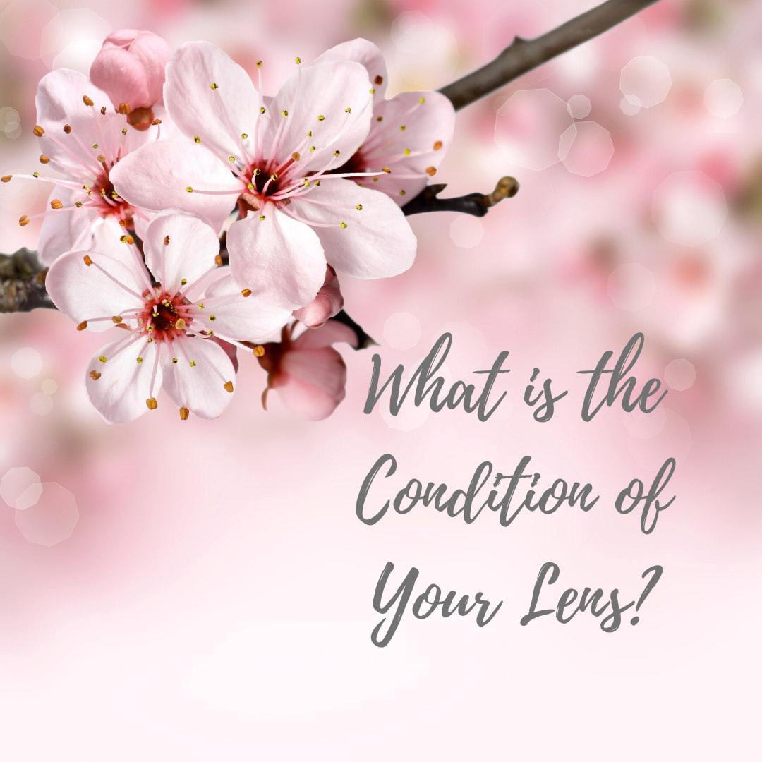 What is the Condition of Your Lens?