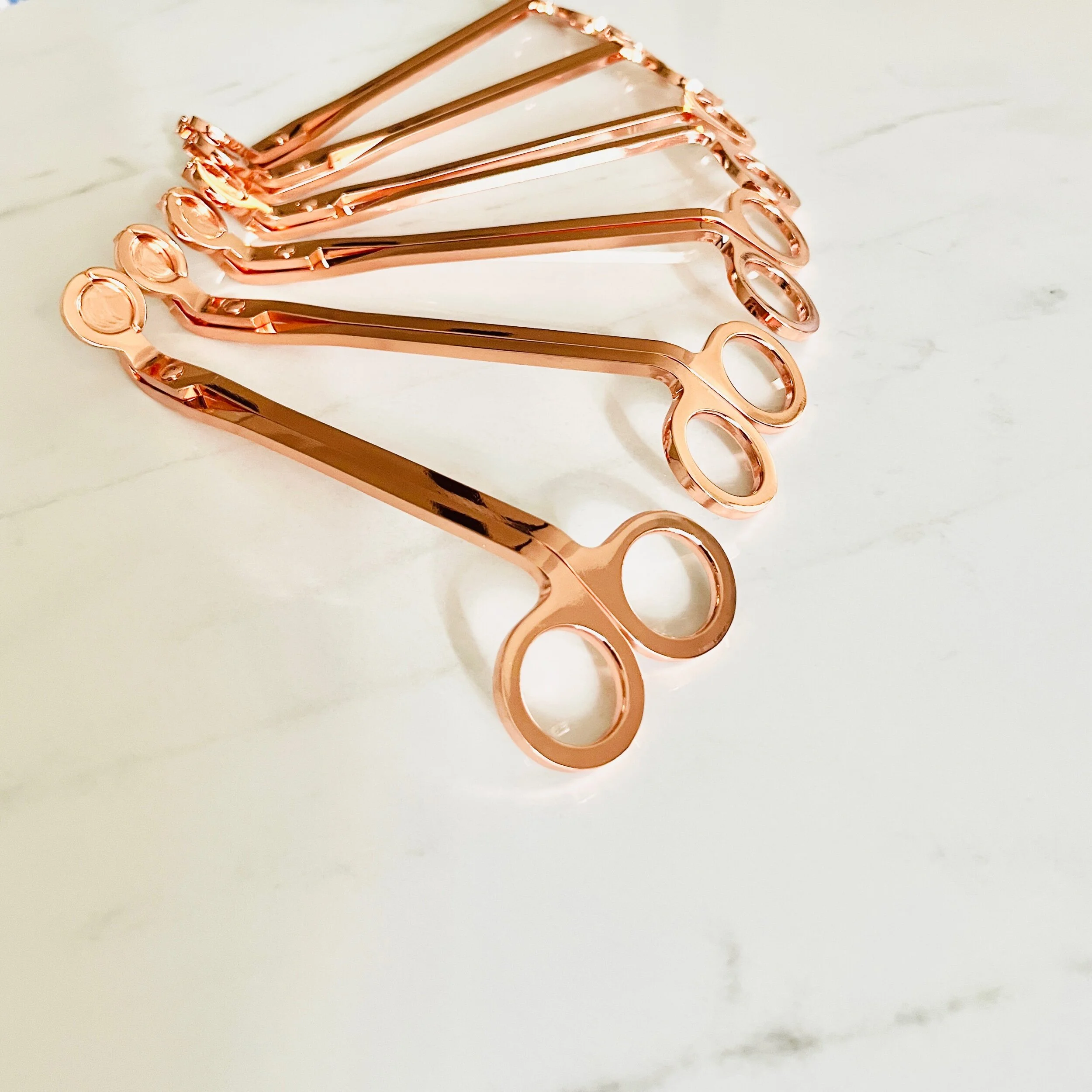 39A99C96-410C-4E95-8E96-5DD24FE7BCDD