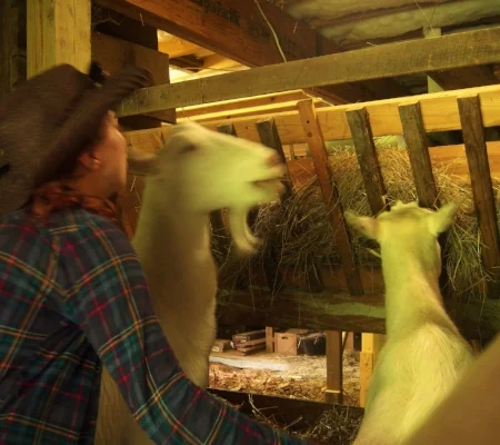 Singing farm songs! (Asheville, NC)