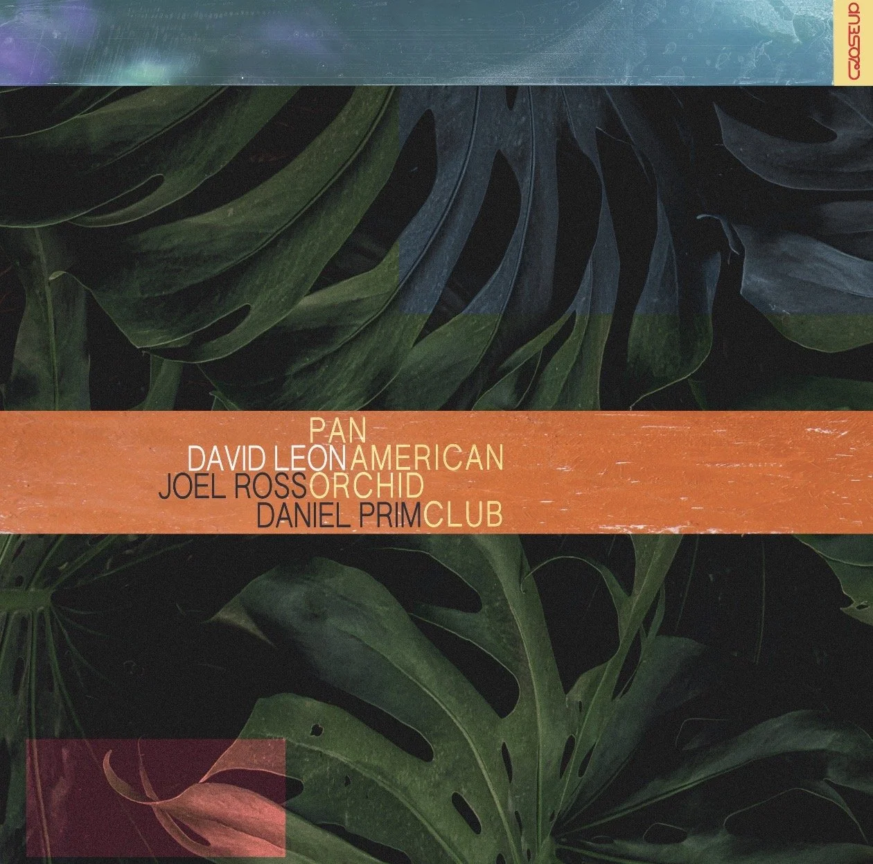 David Leon trio (Live at CloseUp)