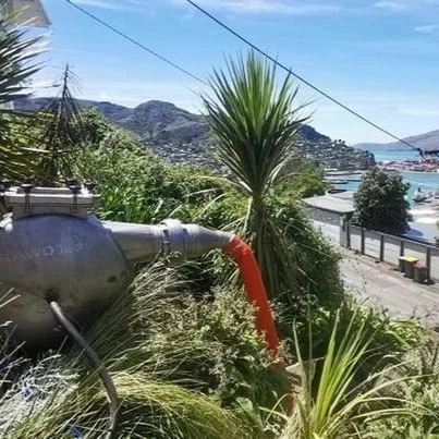 Lyttelton Lateral Liners 